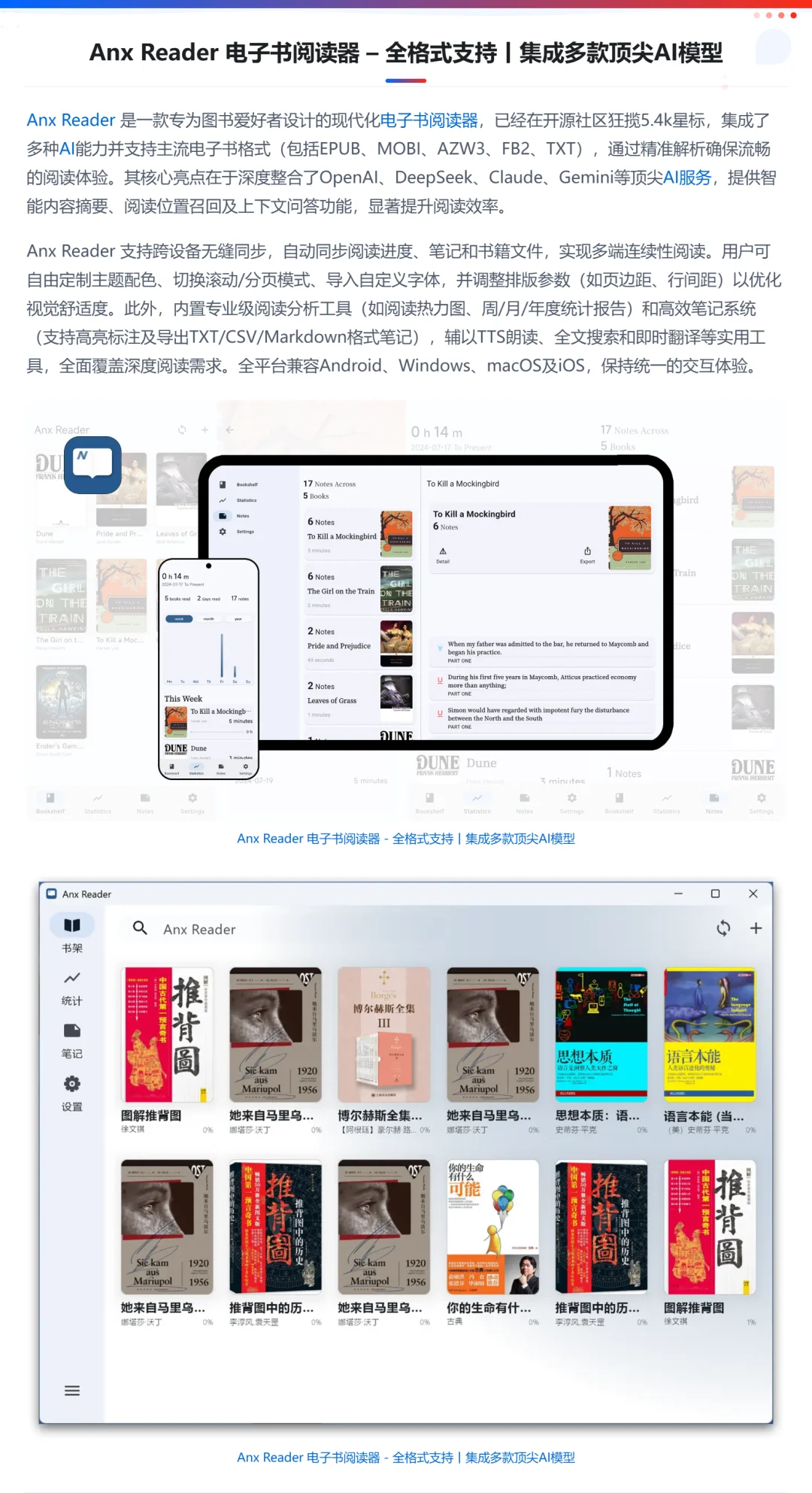 Anx Reader 全格式支持的电子书阅读器