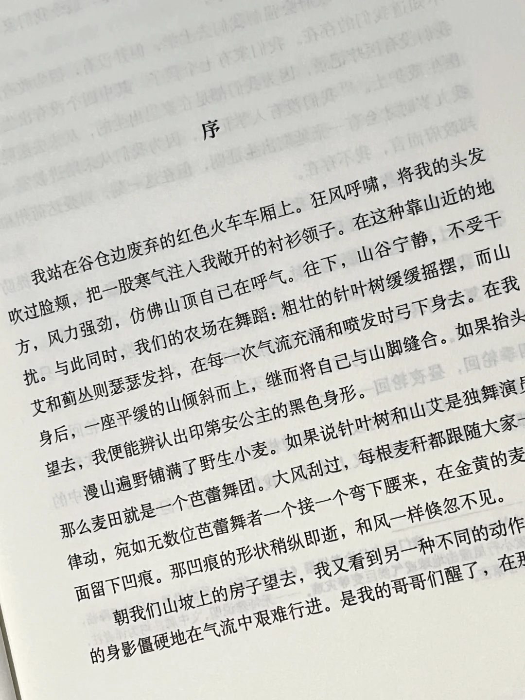 这本书像光一样救赎了我｜与自己和解