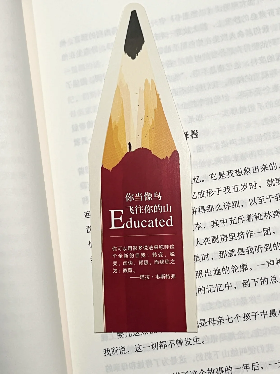 这本书像光一样救赎了我｜与自己和解