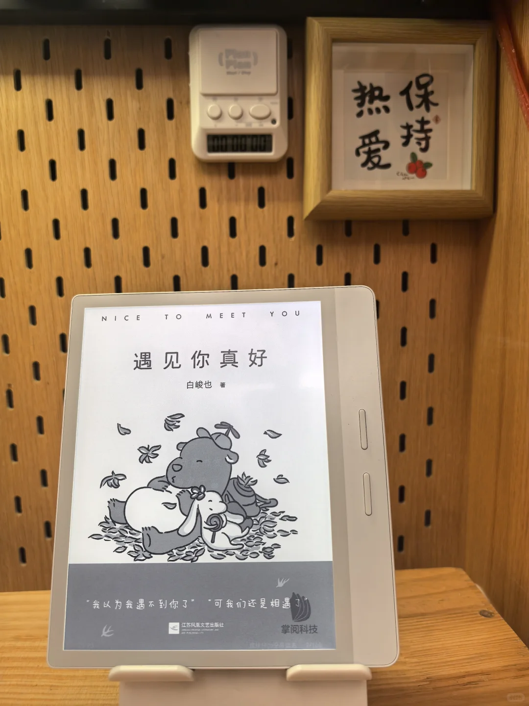 没错，这就是我的新宠！