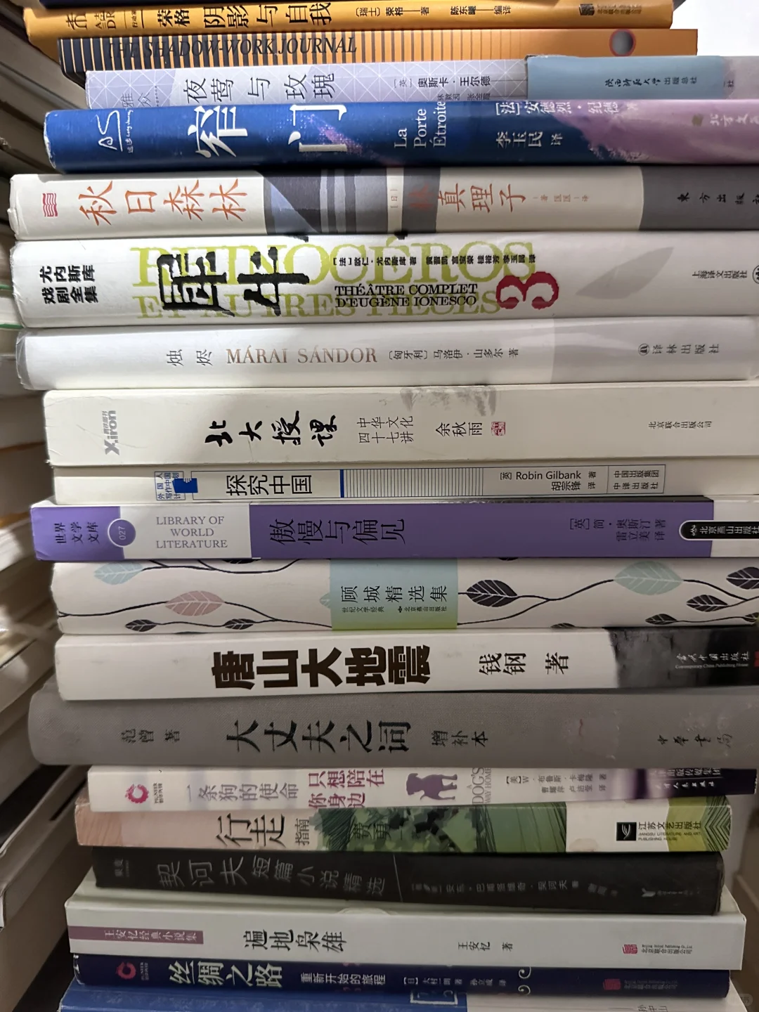 闲置文学书籍➗ 转让