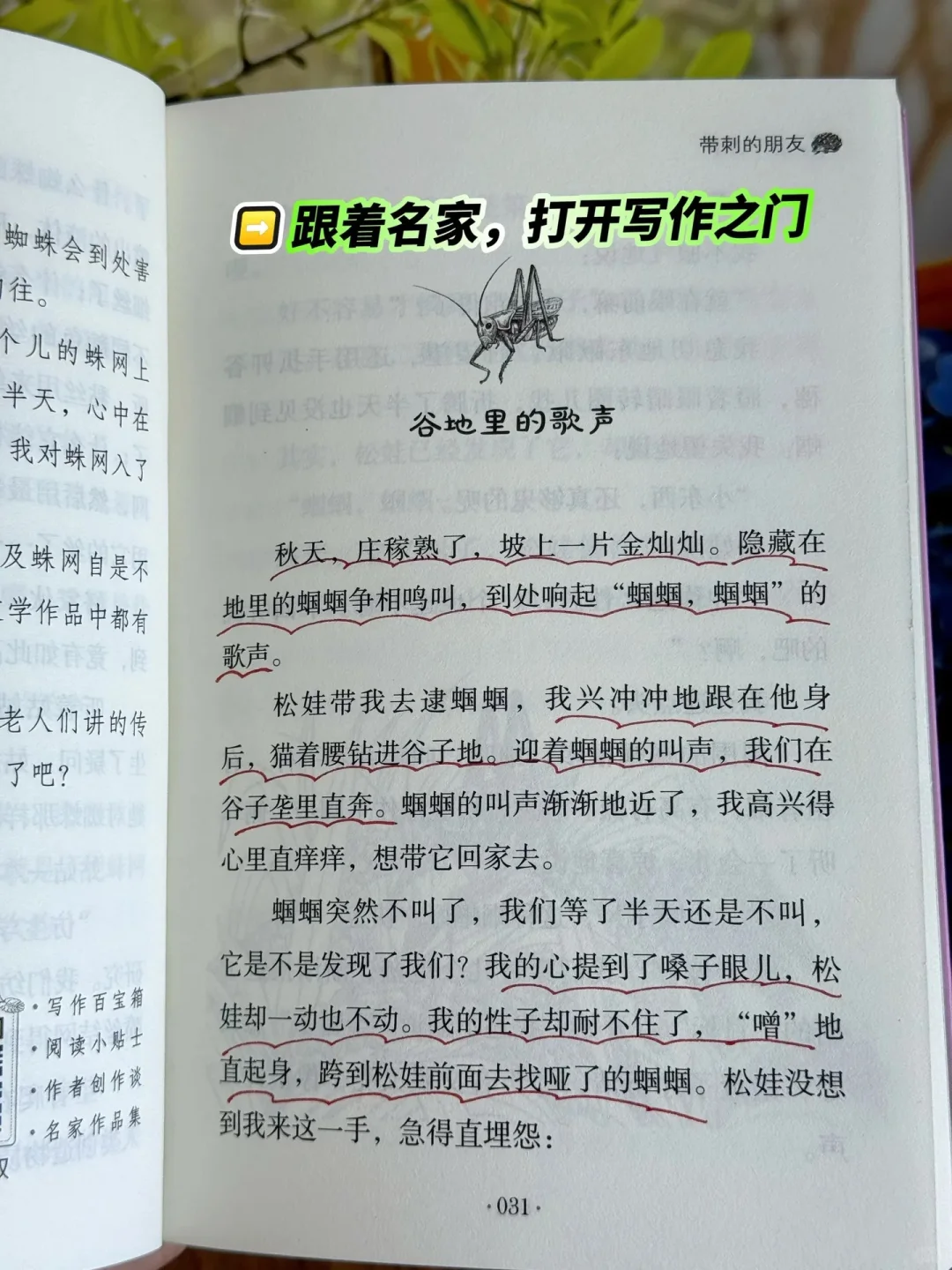 《带刺的朋友》：让孩子在阅读中找到乐趣🔥