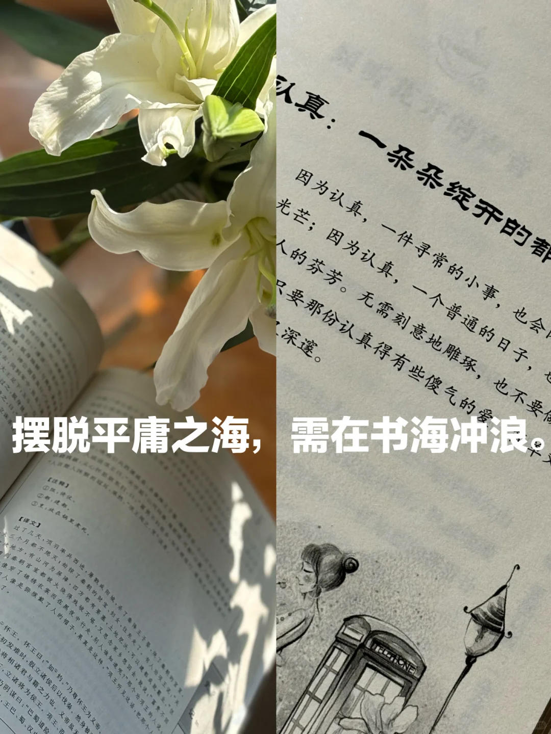 摆脱平庸之海，需在书海冲浪