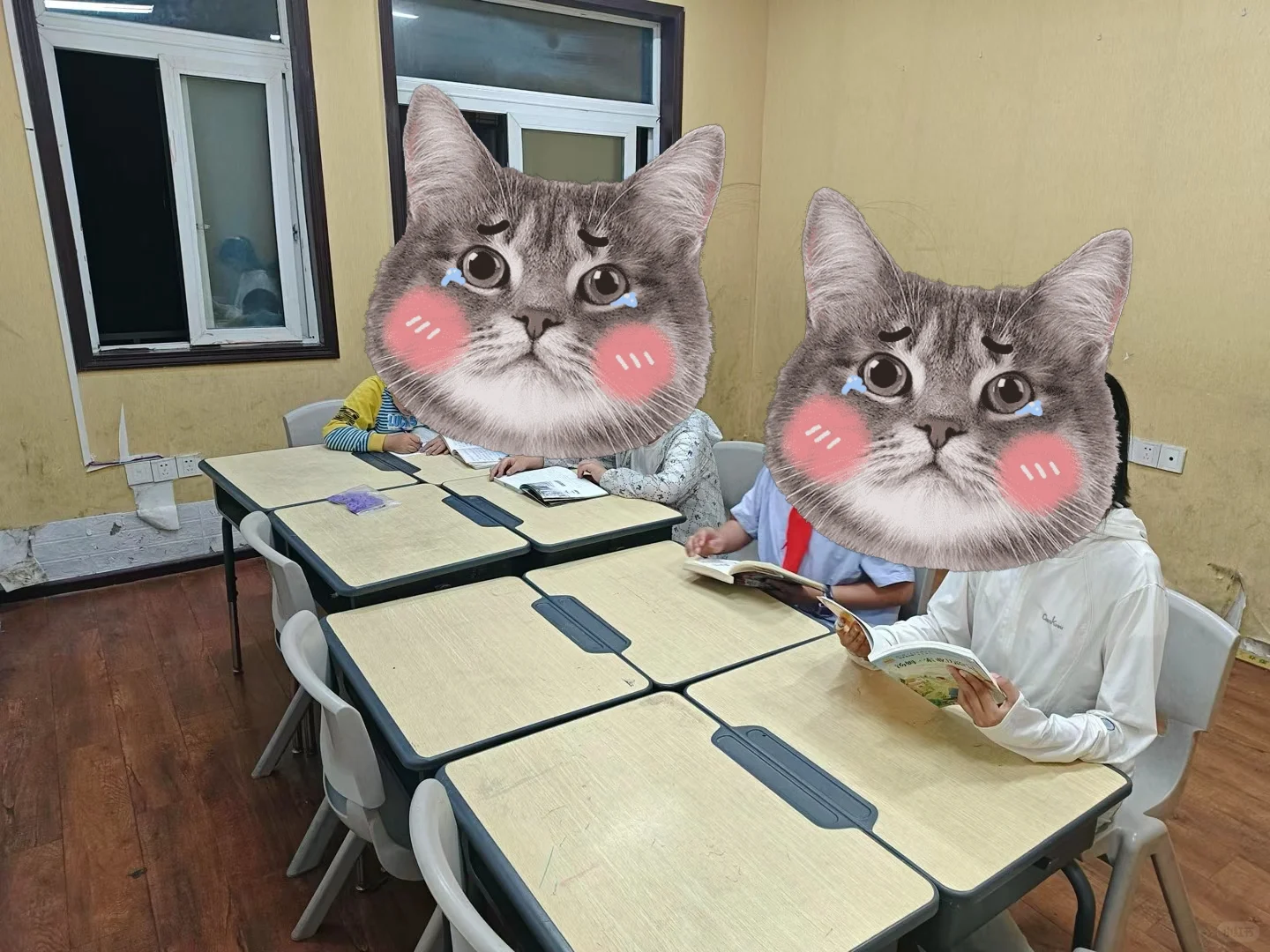 阅读分享会:提升孩子的总结、理解表达能力