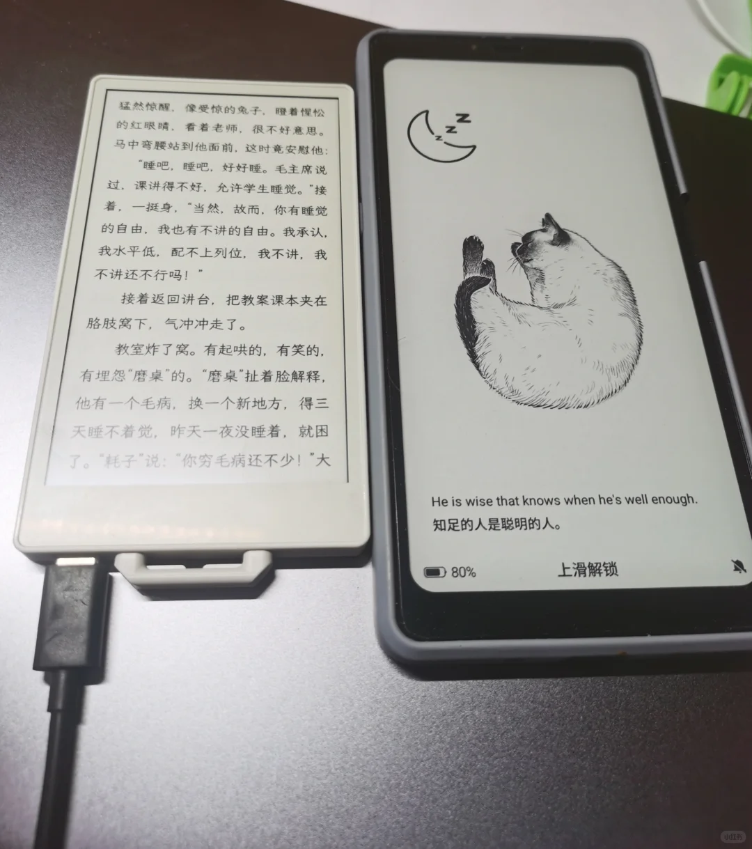 小鼻嘎看上书了