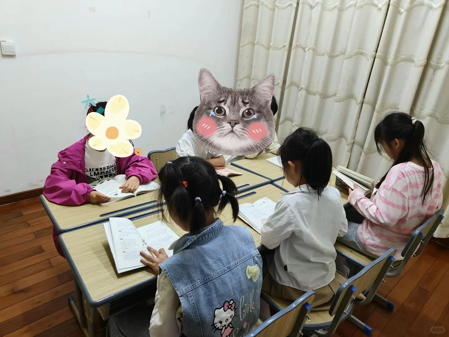 阅读分享会:提升孩子的总结、理解表达能力