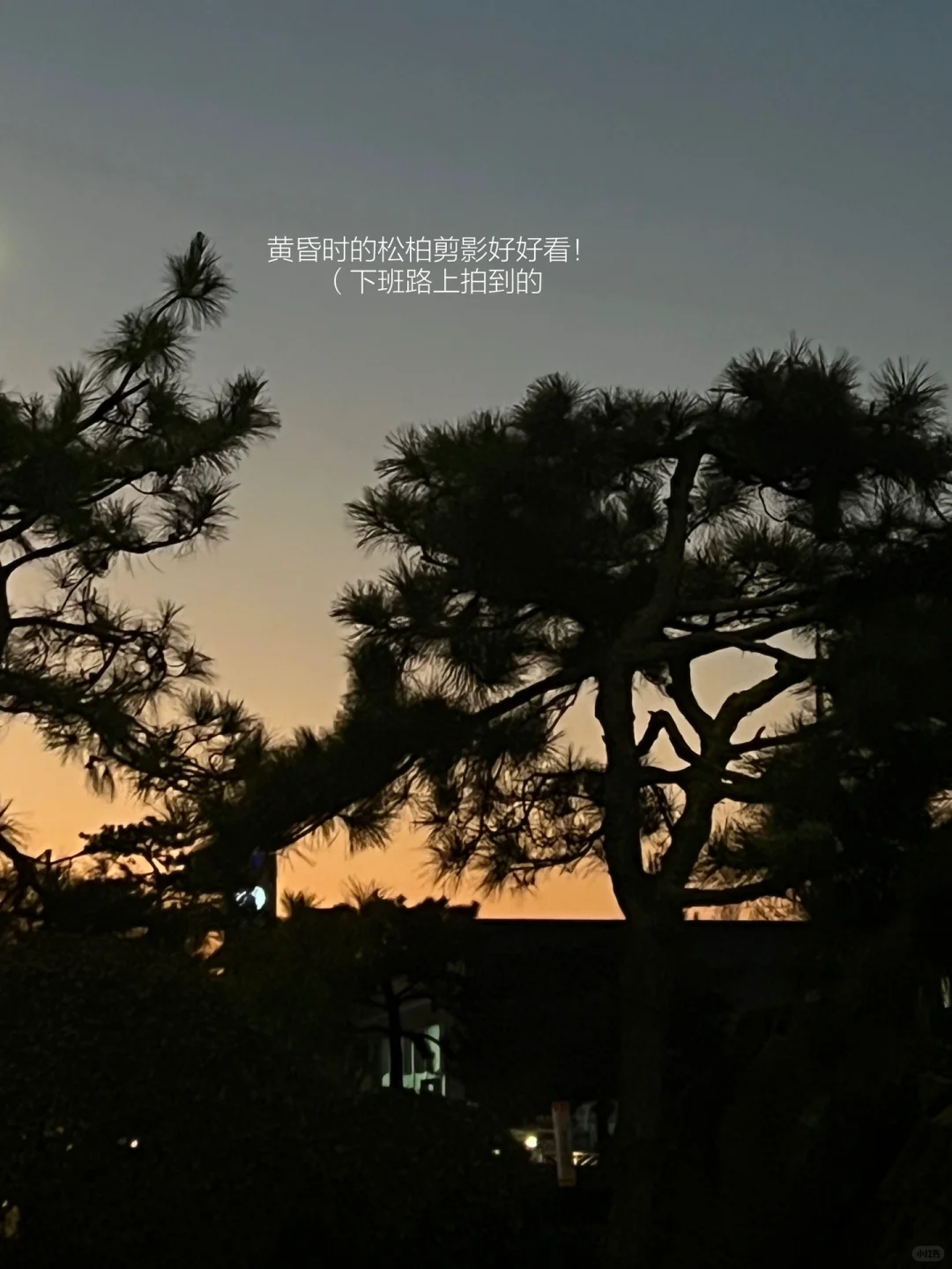 夜晚阅读的幸福感！