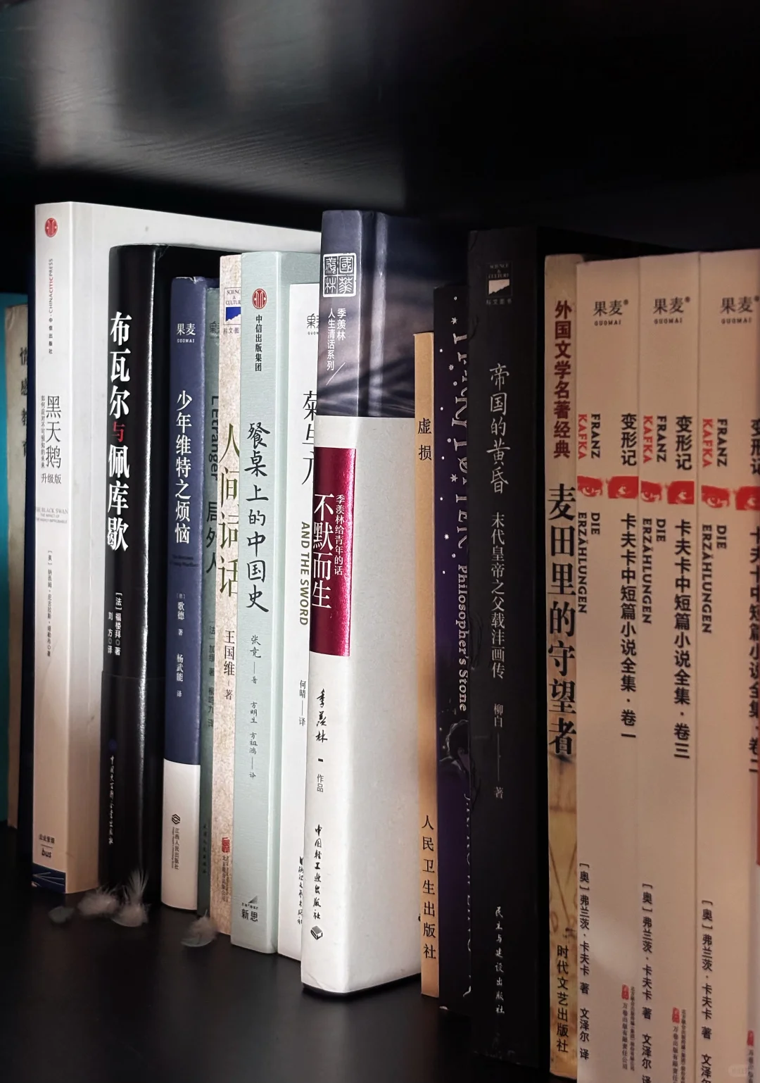 碎片化阅读，凌迟你思想的刽子手