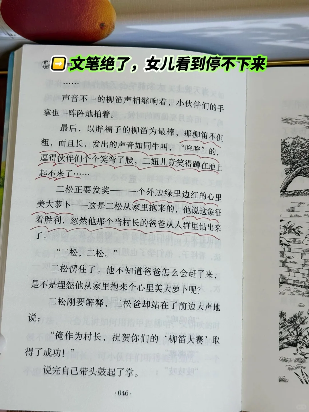 《带刺的朋友》：让孩子在阅读中找到乐趣🔥