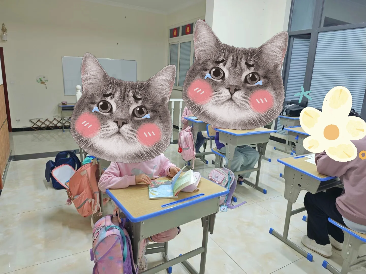 阅读分享会:提升孩子的总结、理解表达能力