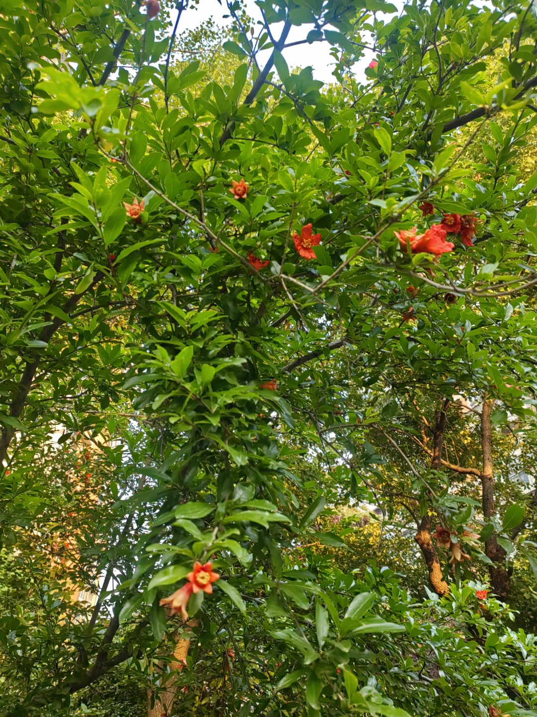 全新读书体验🌿户外读书