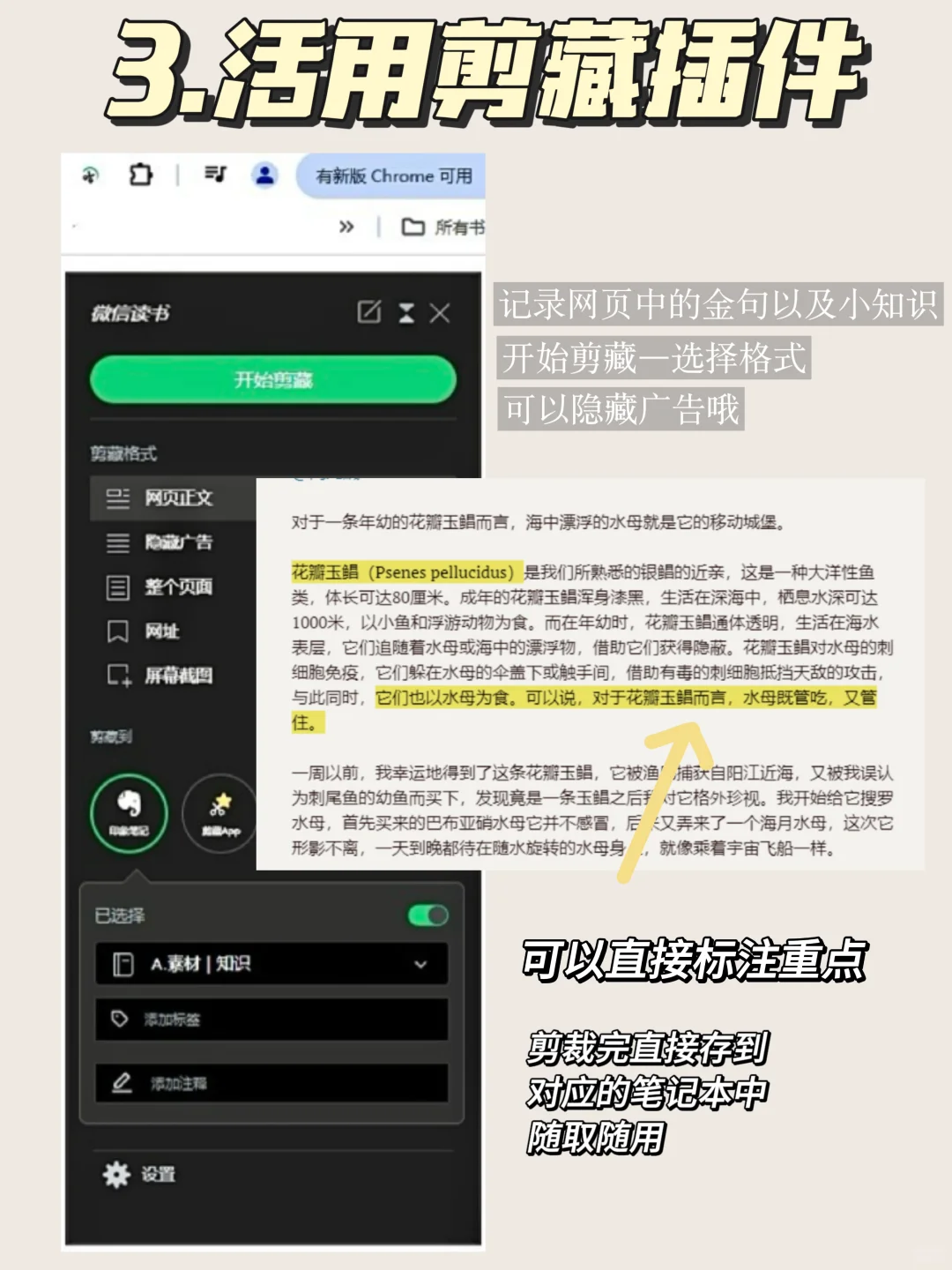 电子笔记这样做真的会越记越上瘾📚✨