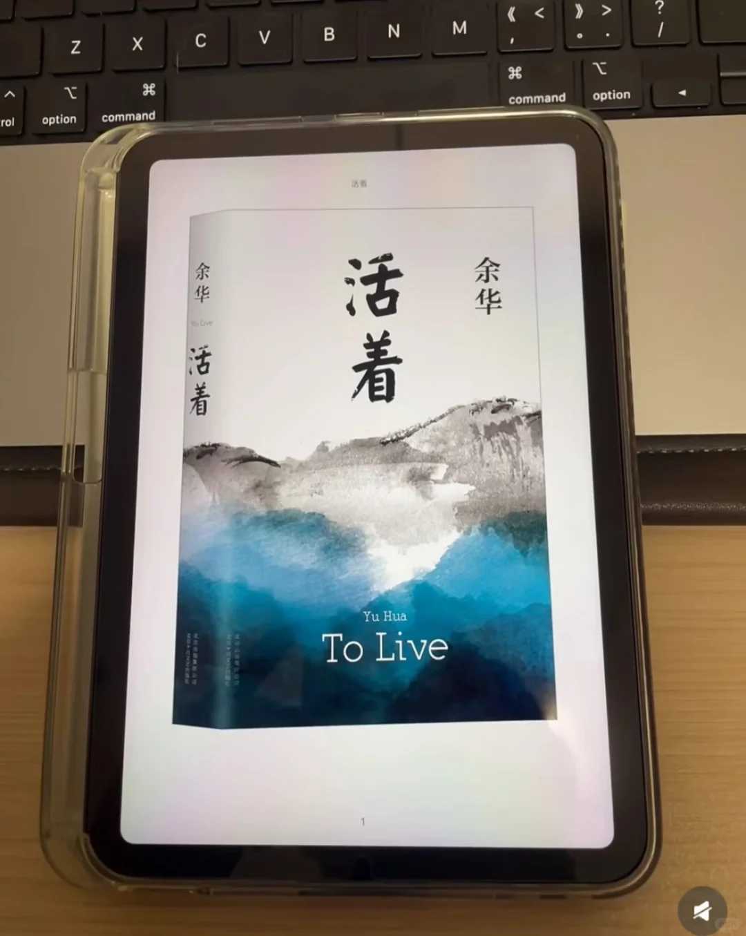 感谢小红书，实现了电子书自由
