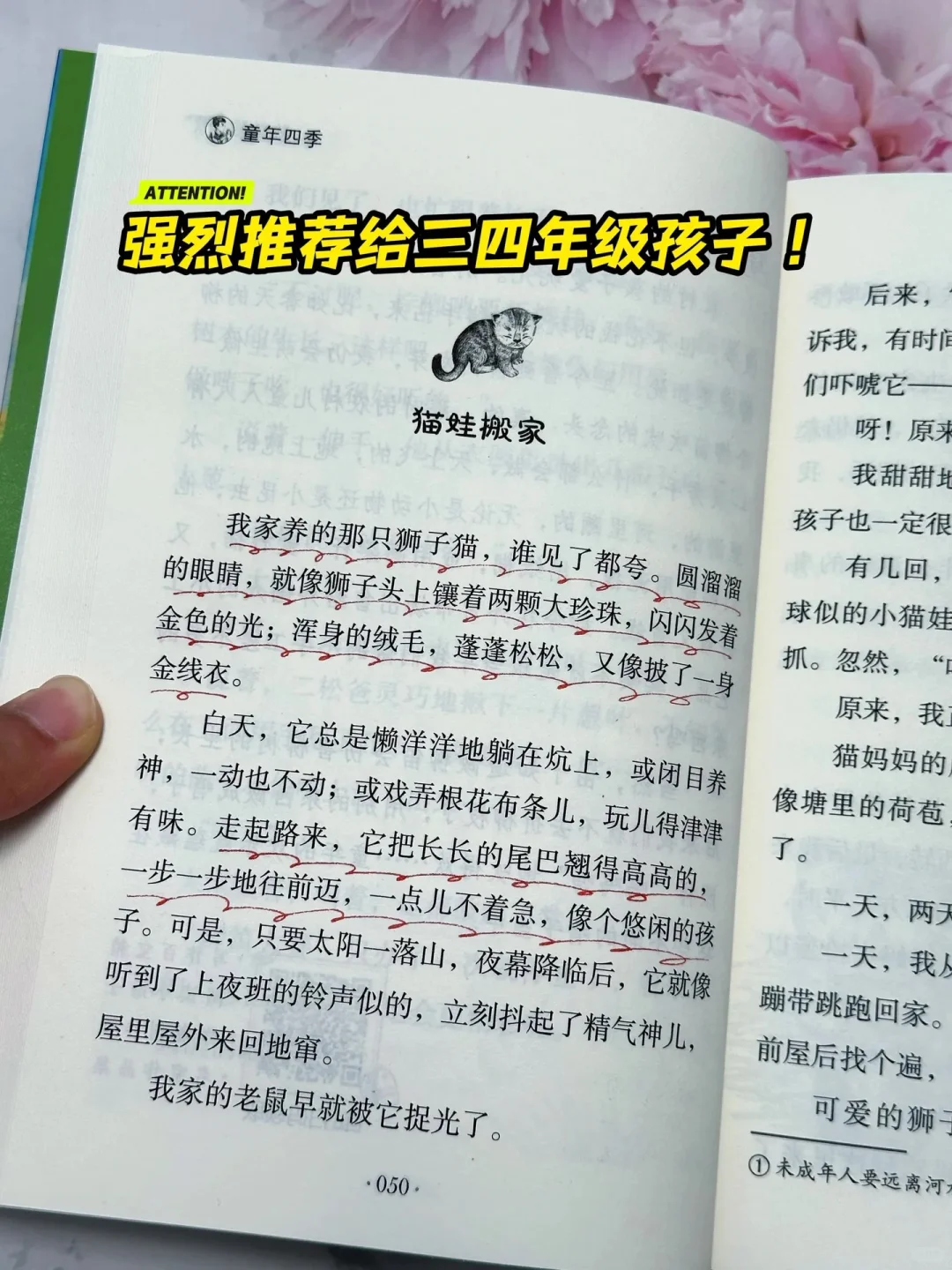《狼与兔》：让孩子在阅读中找到乐趣🔥