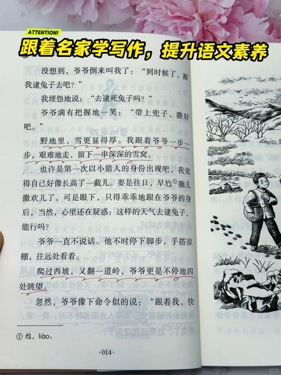 《狼与兔》：让孩子在阅读中找到乐趣🔥