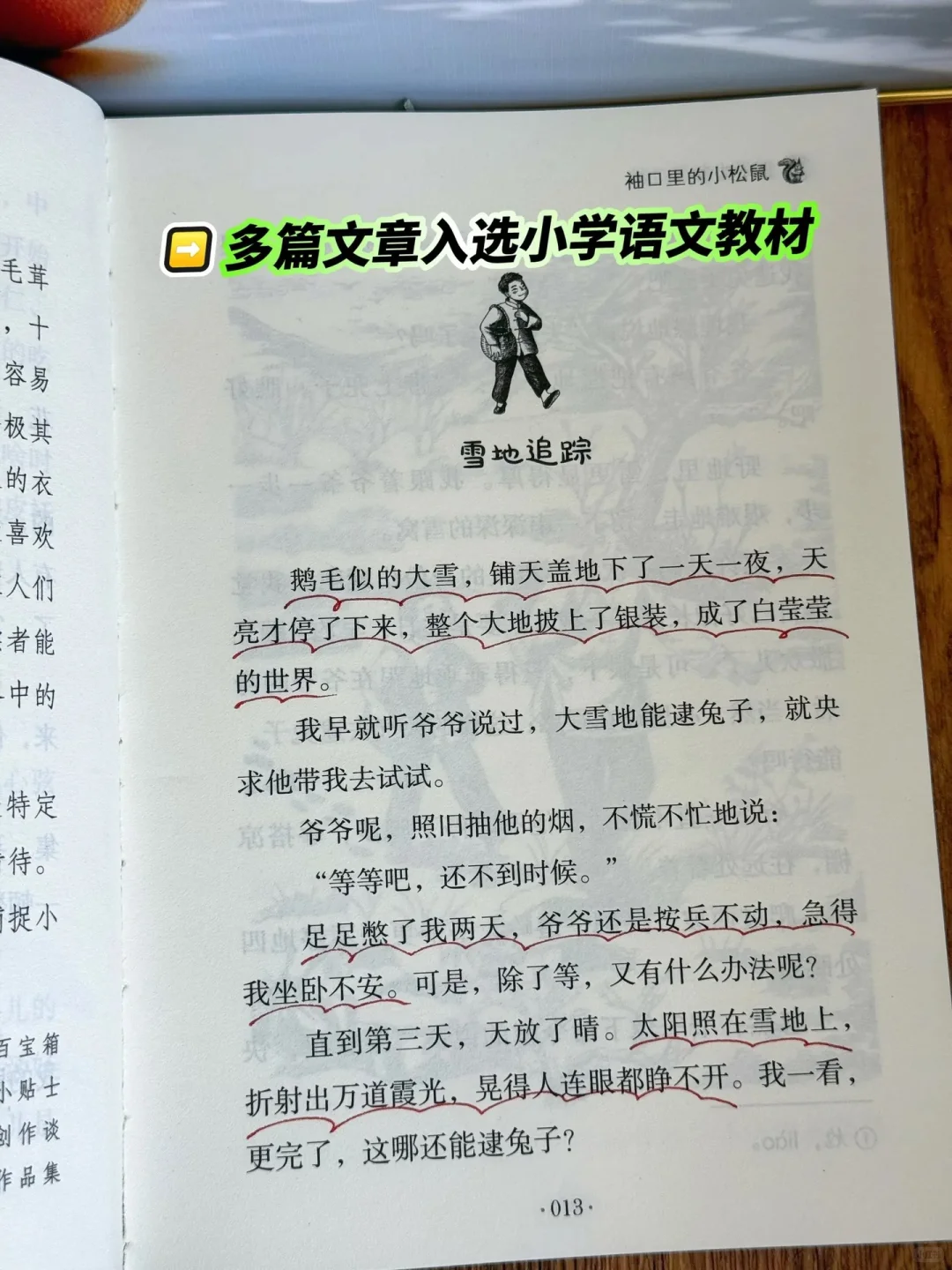 《带刺的朋友》：让孩子在阅读中找到乐趣🔥