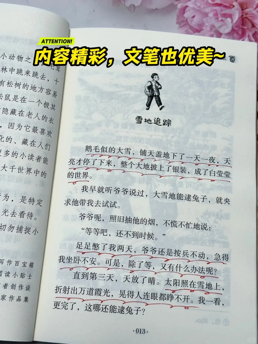 《狼与兔》：让孩子在阅读中找到乐趣🔥
