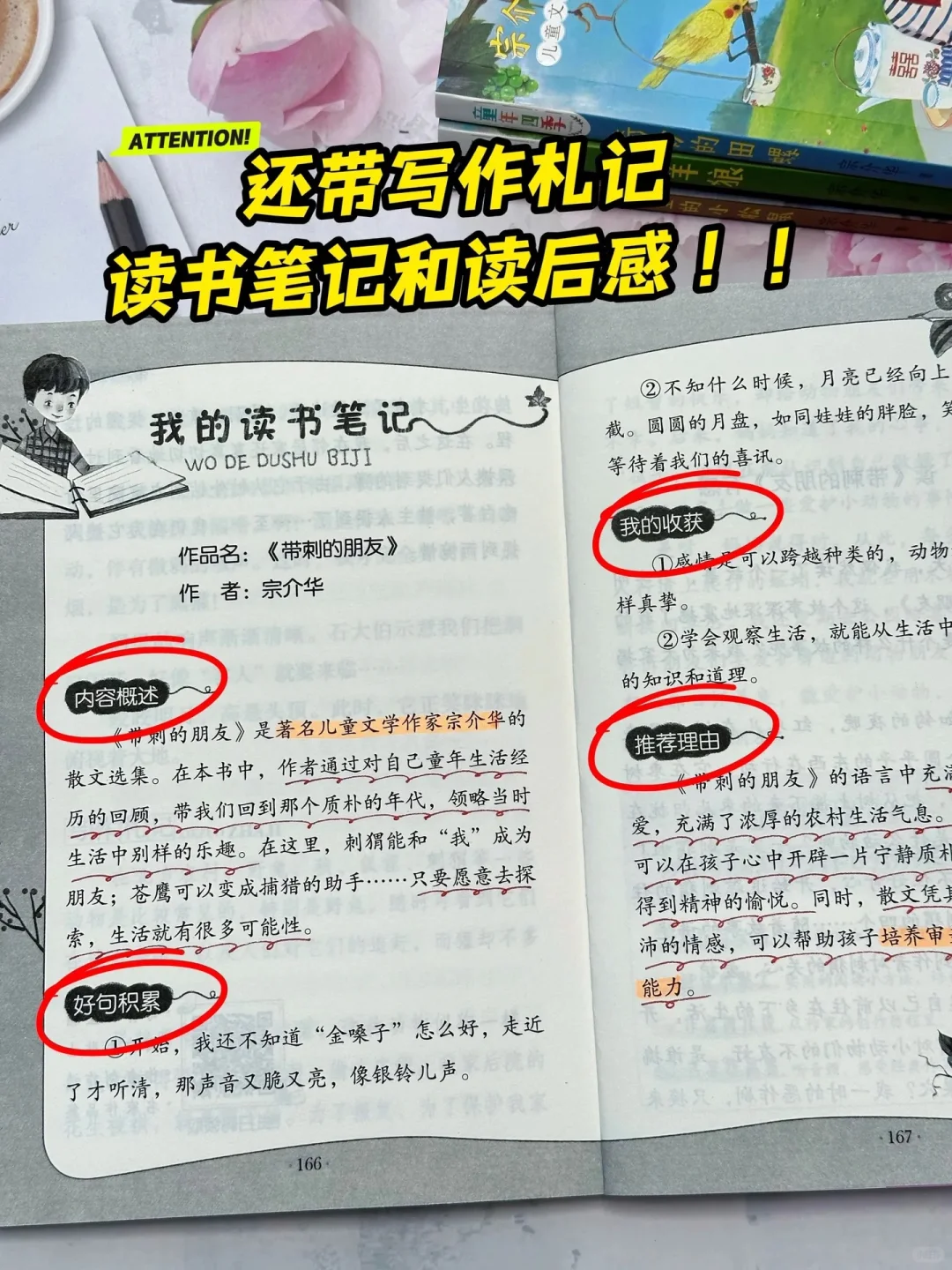 《狼与兔》：让孩子在阅读中找到乐趣🔥