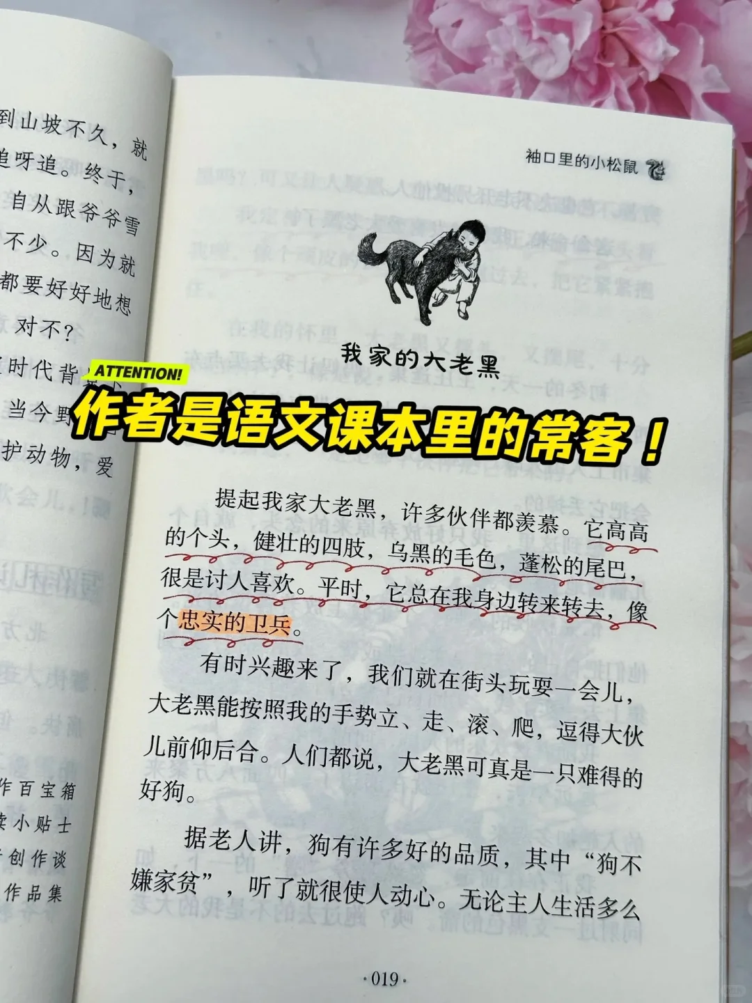 《狼与兔》：让孩子在阅读中找到乐趣🔥
