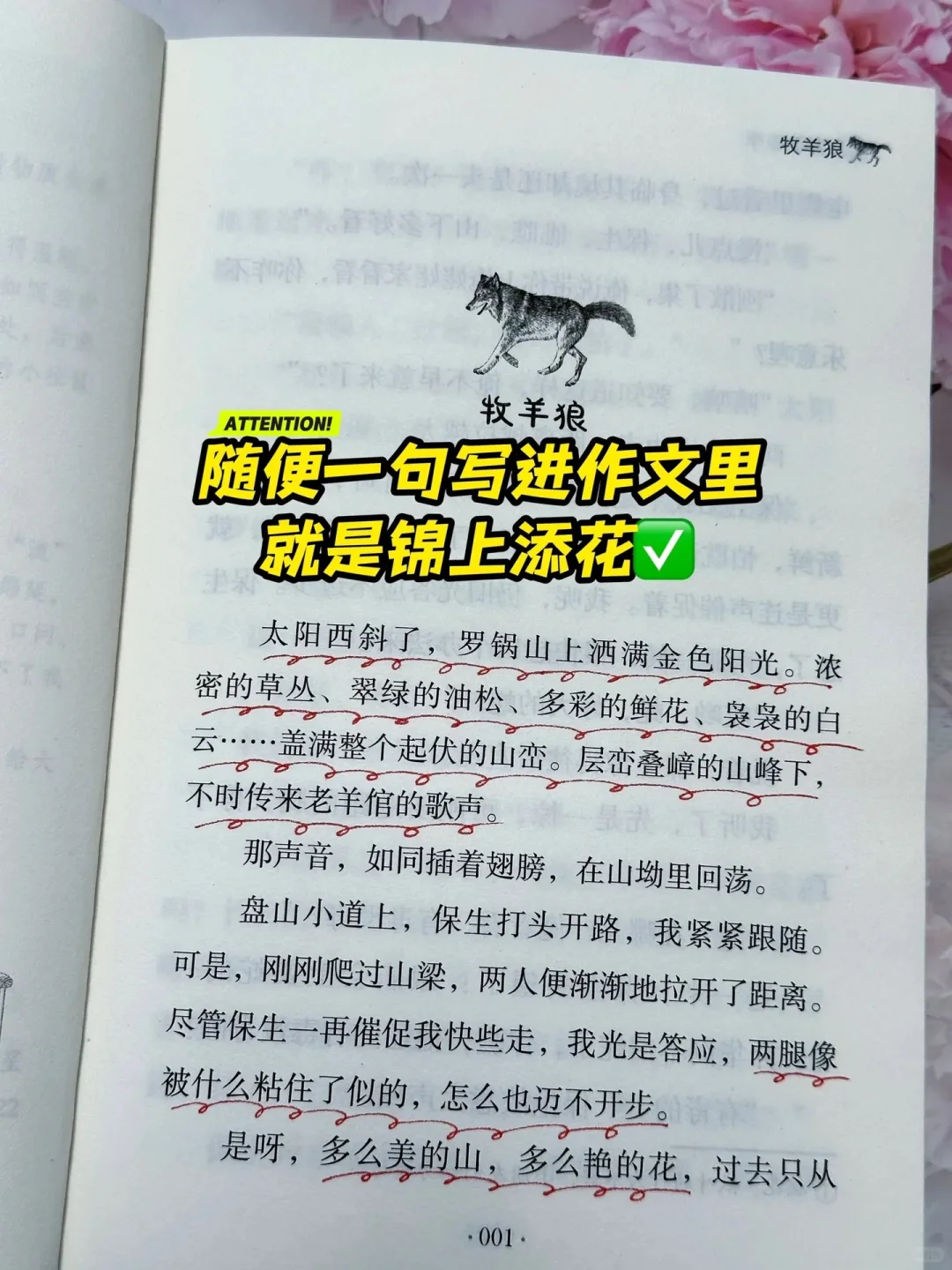 《狼与兔》：让孩子在阅读中找到乐趣🔥