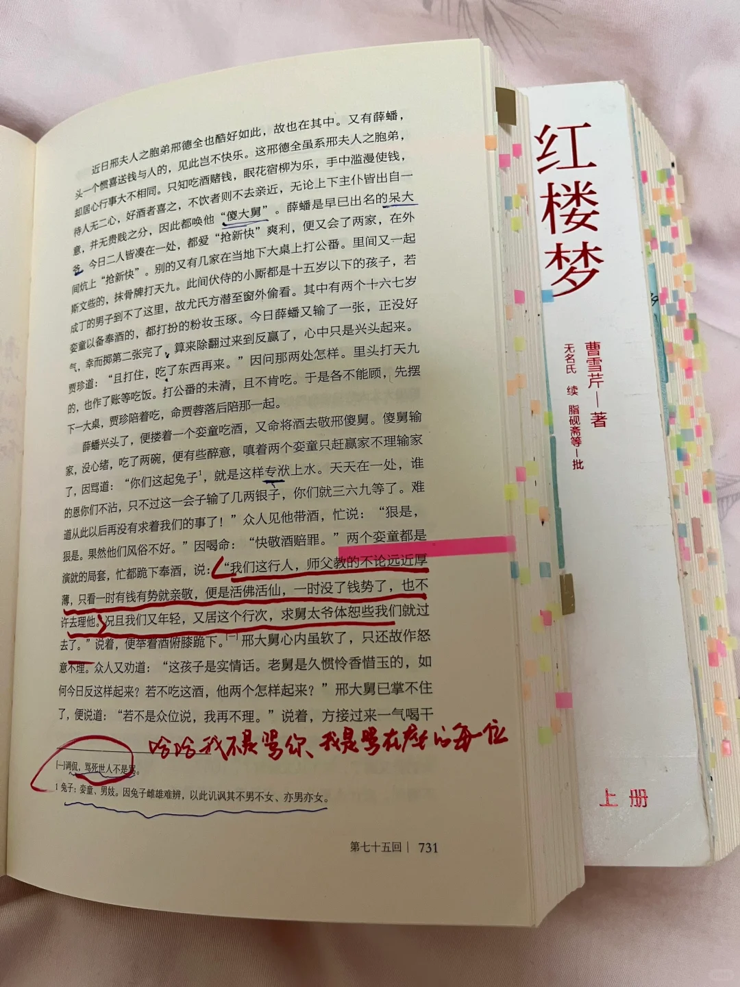 《红楼梦》治好了我的阅读焦虑和无感悟羞耻。