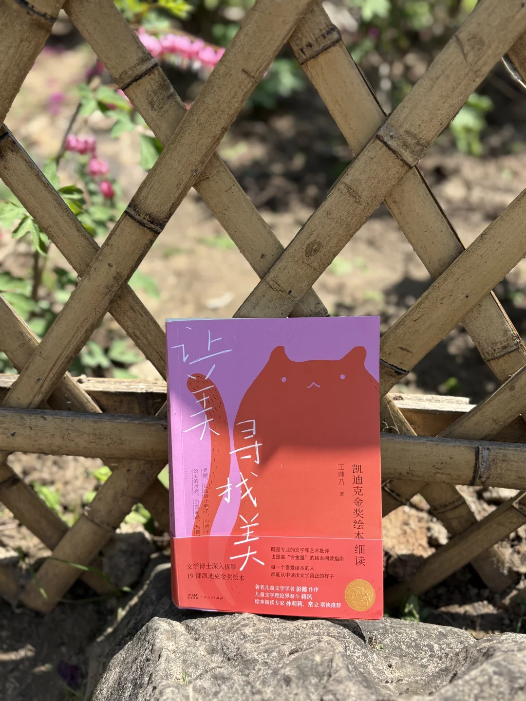 阅读的乐趣就是不断遇到那些让人“震颤”的片