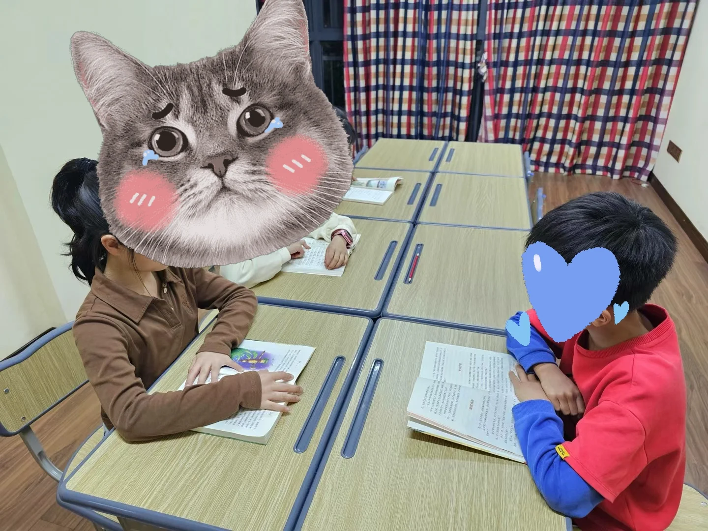 阅读分享会:提升孩子的总结、理解表达能力