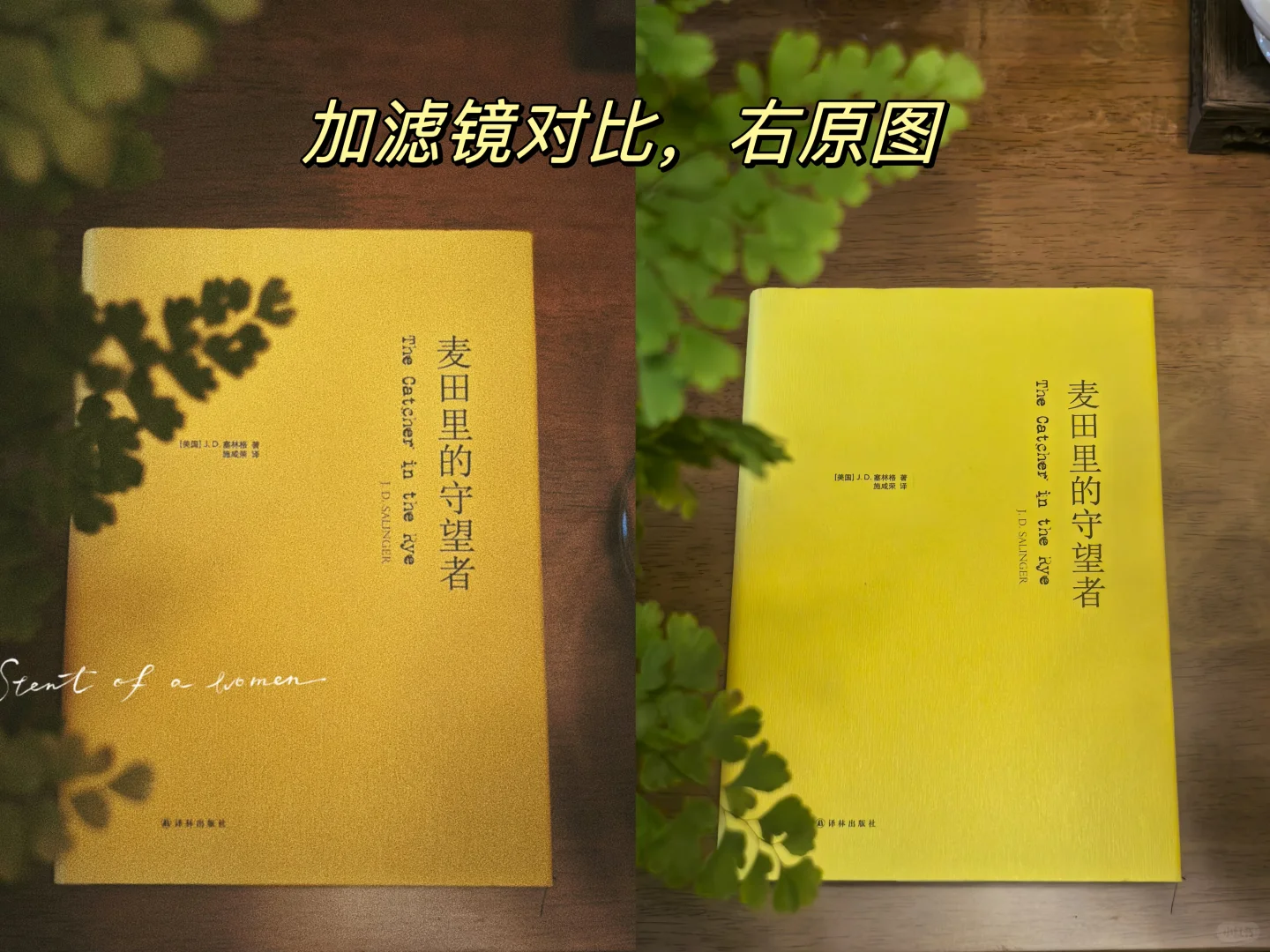 新人博主Day4｜手机摄影3步排出杂志感