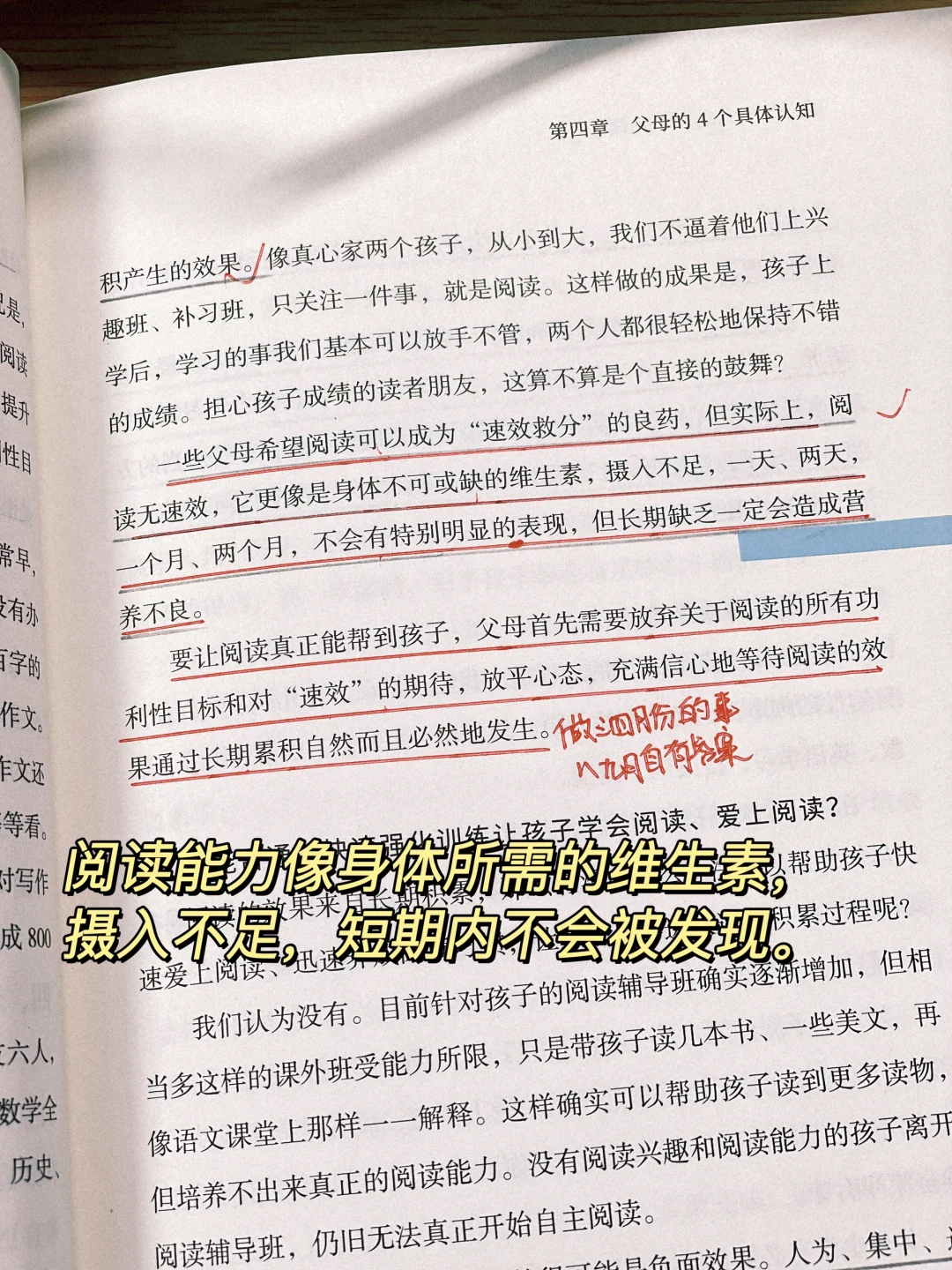 希望你也有沉浸于阅读的快乐📚