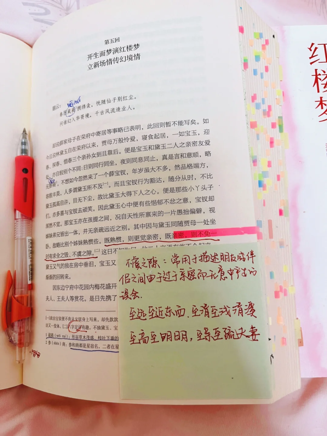 《红楼梦》治好了我的阅读焦虑和无感悟羞耻。