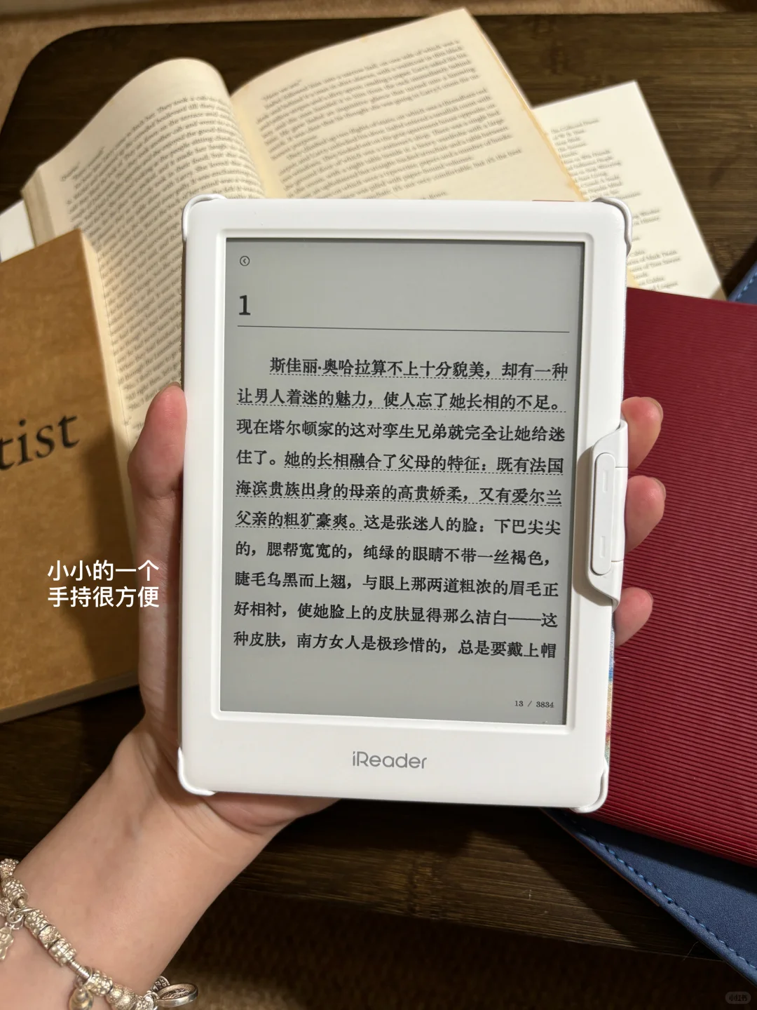 租房的100个快递〈37〉：墨水屏阅读器
