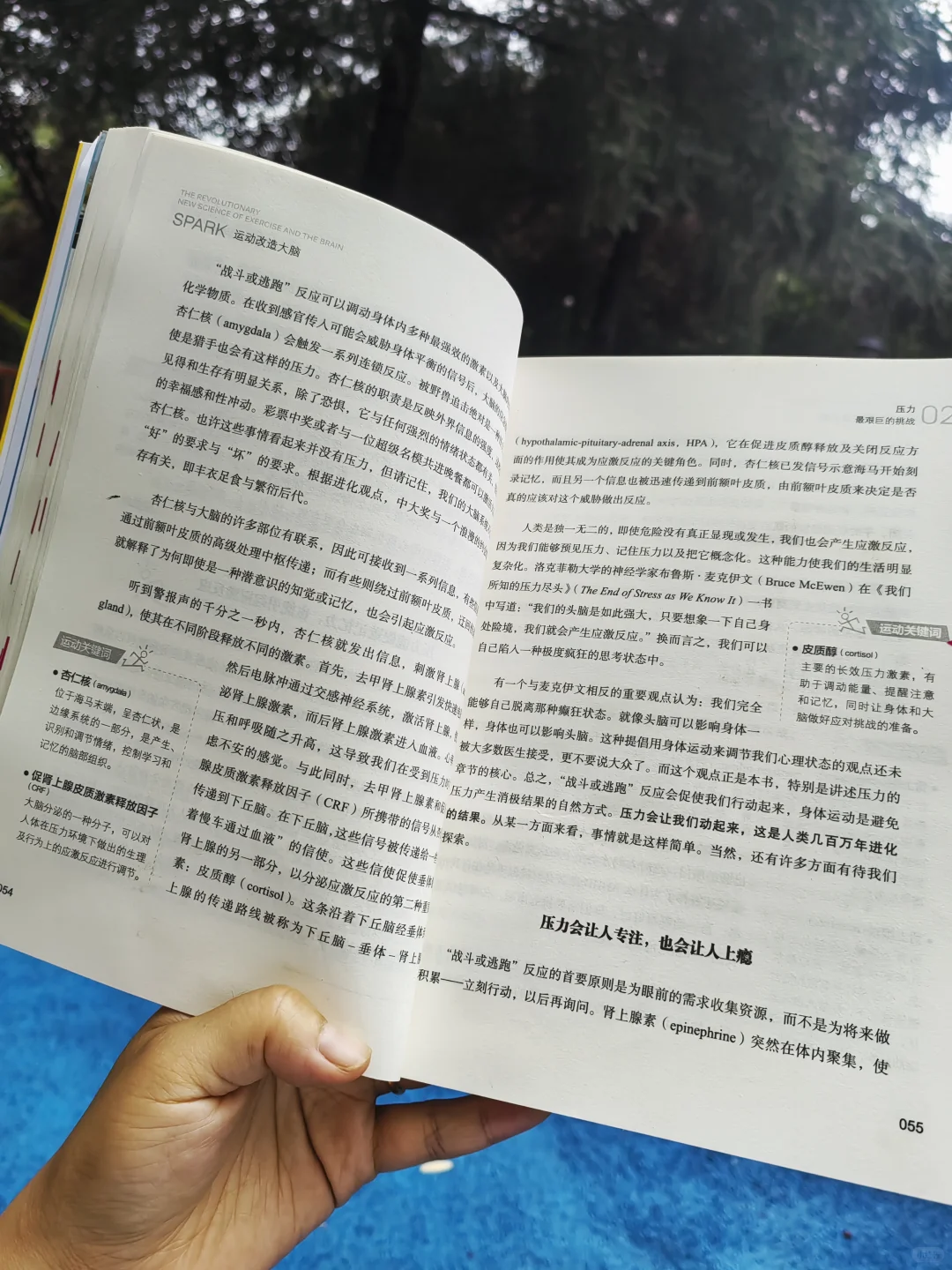 全新读书体验🌿户外读书