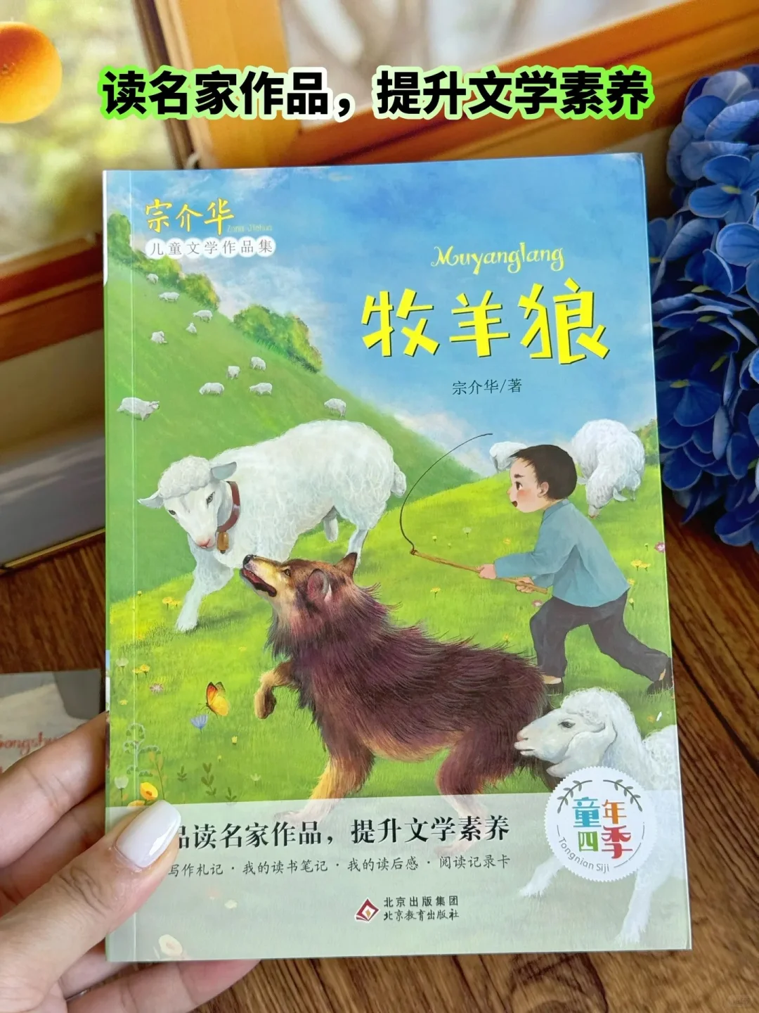 《带刺的朋友》：让孩子在阅读中找到乐趣🔥