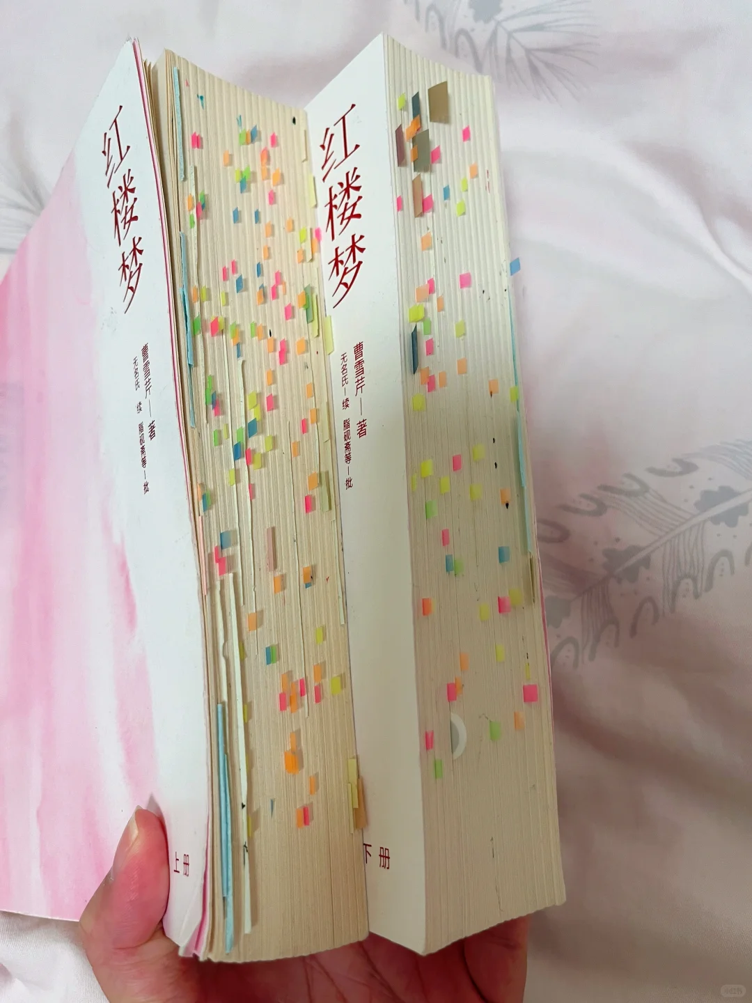 《红楼梦》治好了我的阅读焦虑和无感悟羞耻。