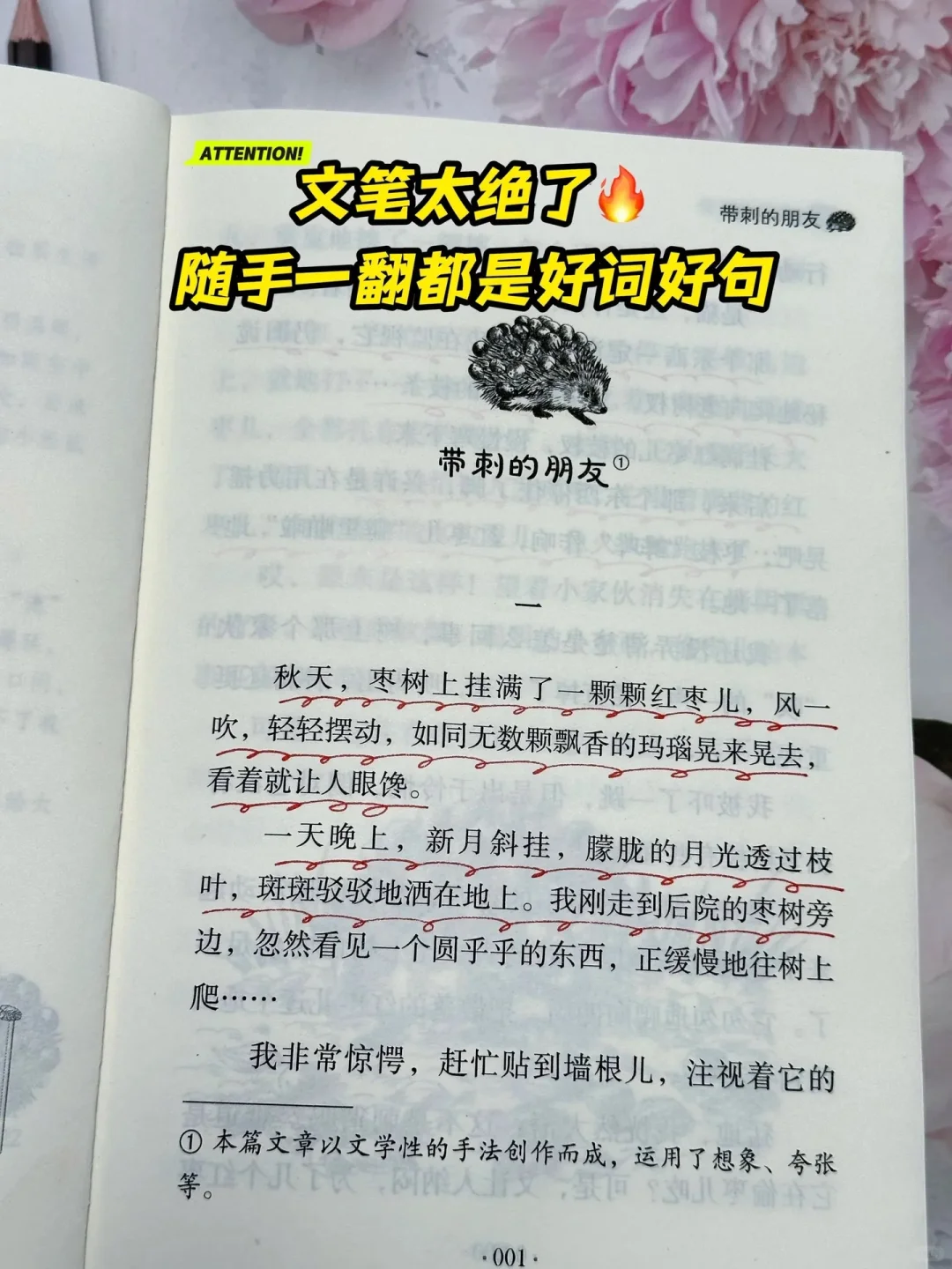《狼与兔》：让孩子在阅读中找到乐趣🔥