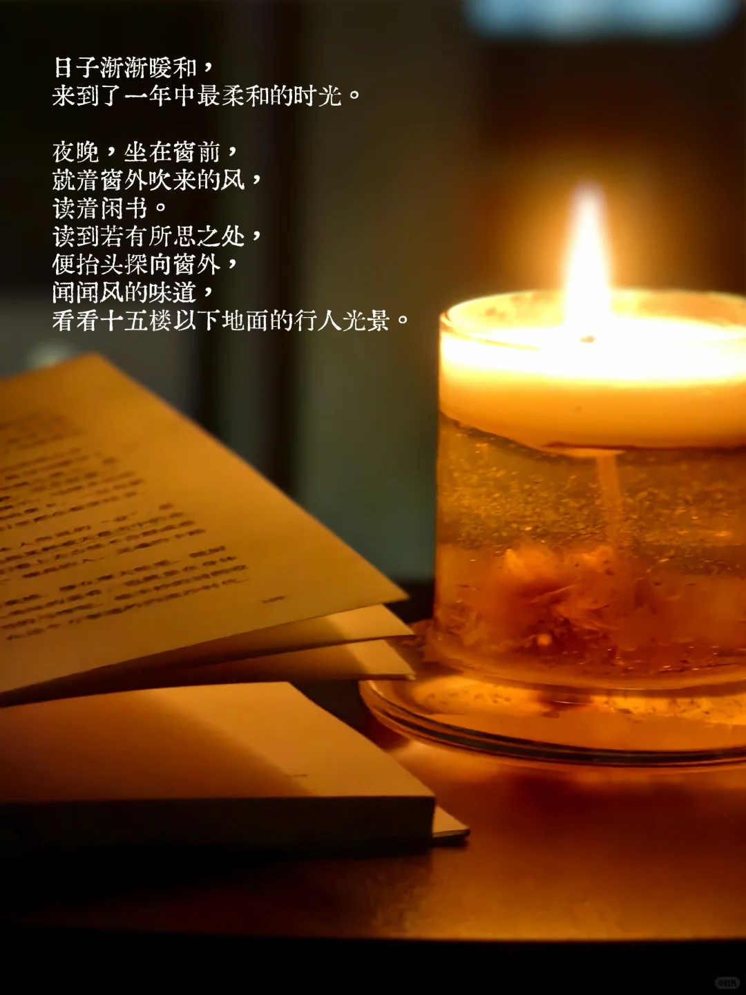 夜晚，就着风，读着书，永恒的喜欢。