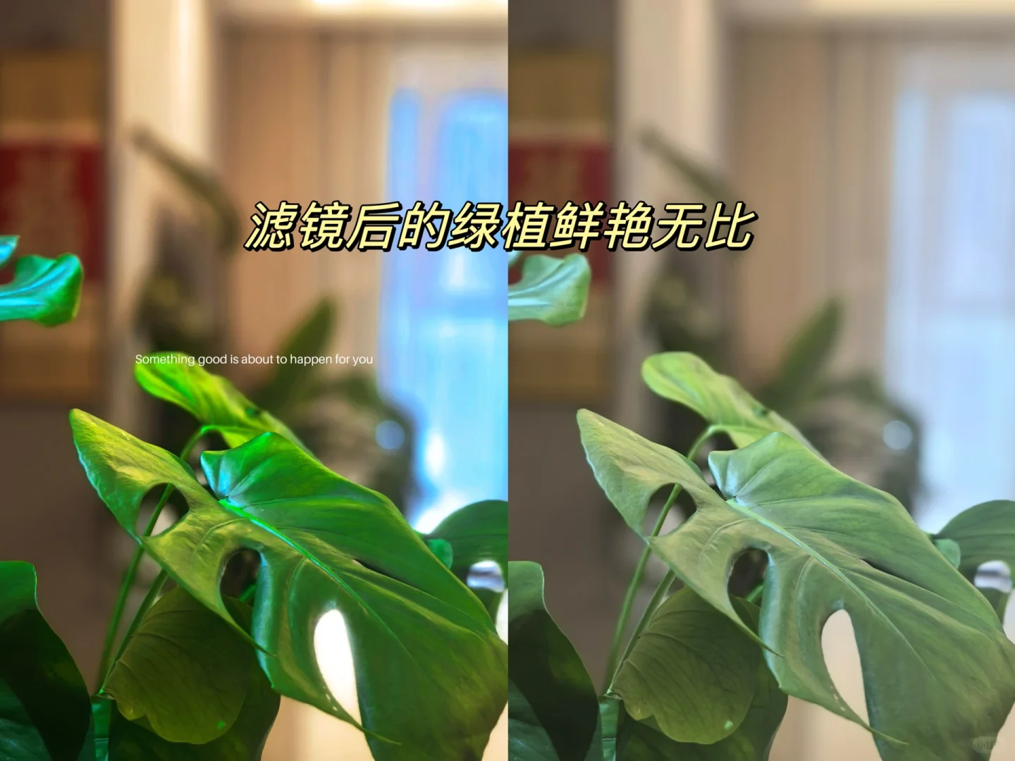新人博主Day4｜手机摄影3步排出杂志感