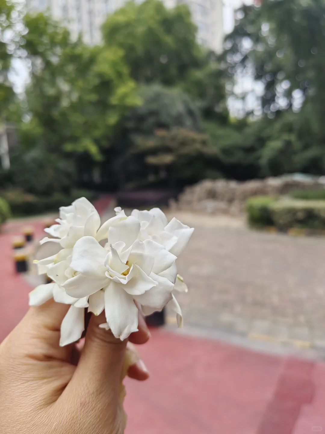 全新读书体验🌿户外读书