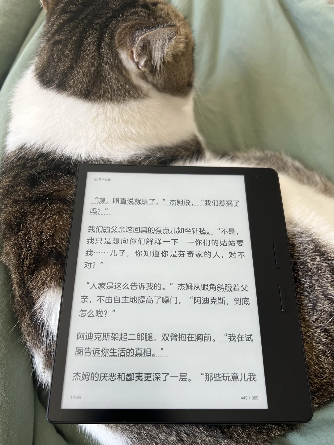 趁着国补入了掌阅ocean4长续航
