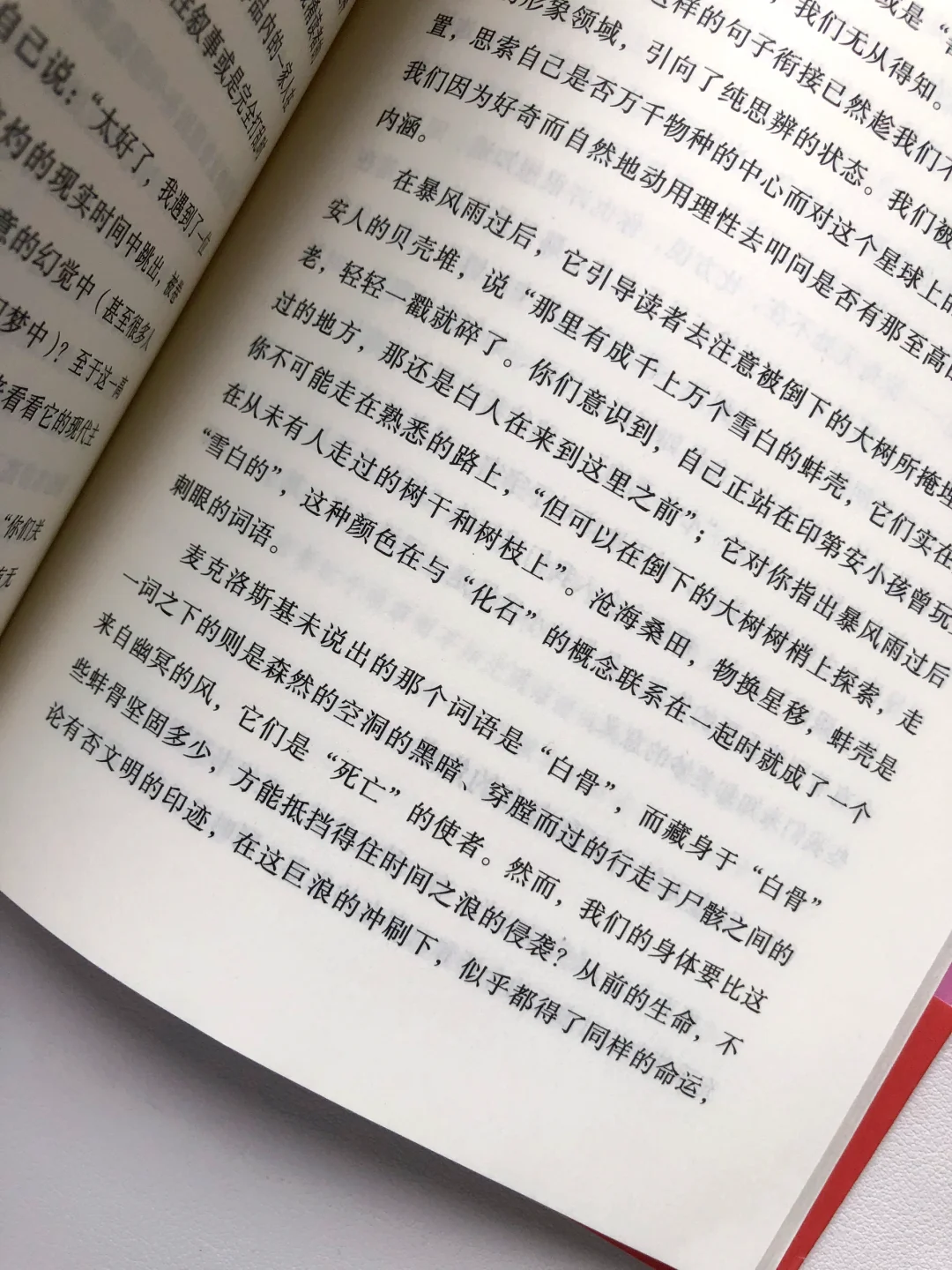 阅读的乐趣就是不断遇到那些让人“震颤”的片