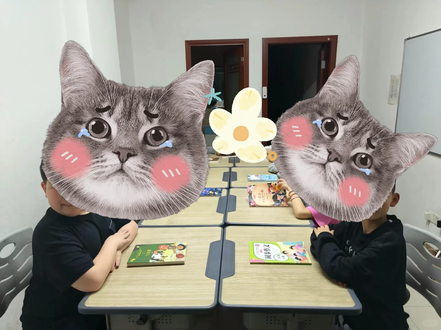 阅读分享会:提升孩子的总结、理解表达能力