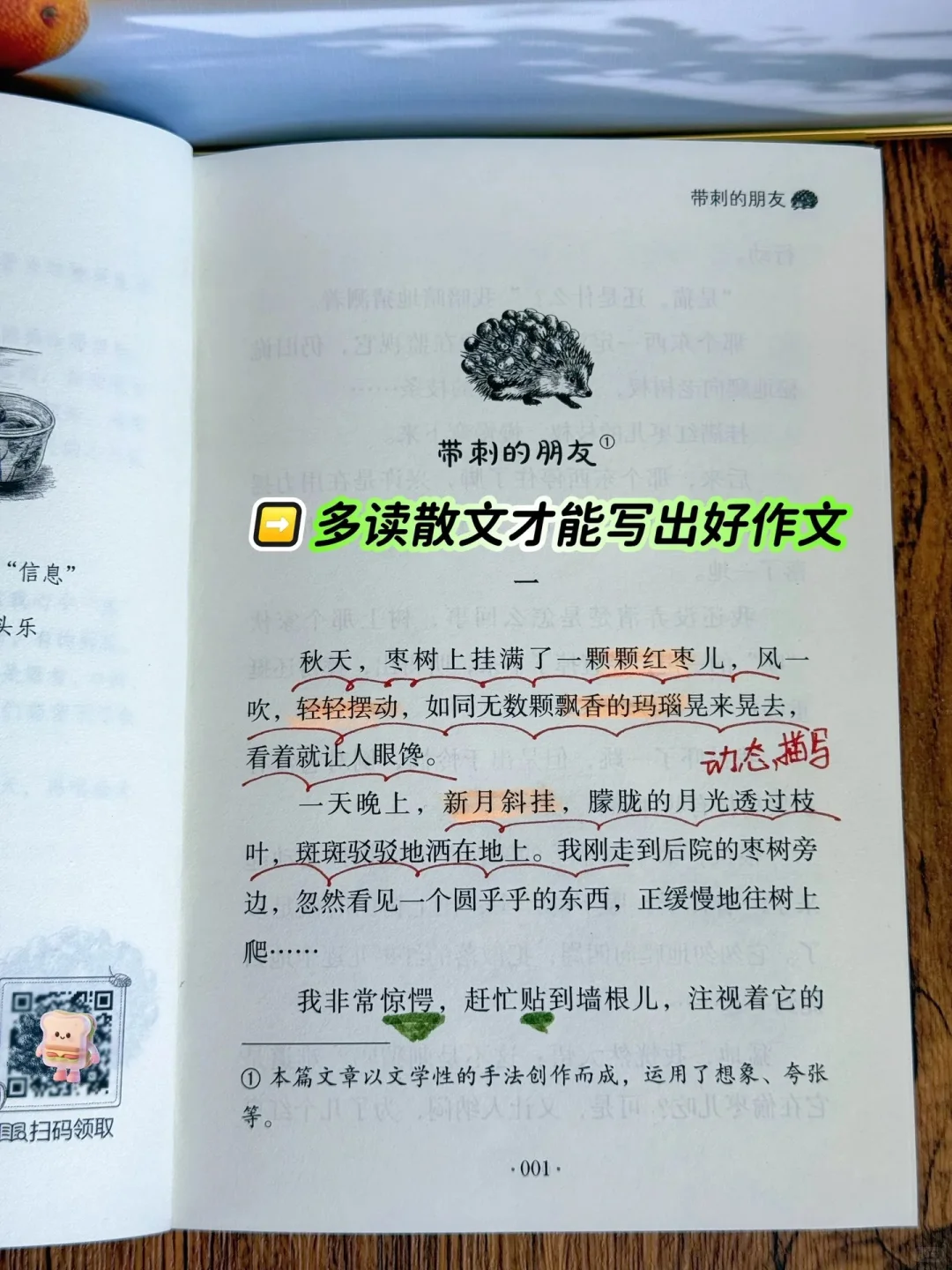 《带刺的朋友》：让孩子在阅读中找到乐趣🔥