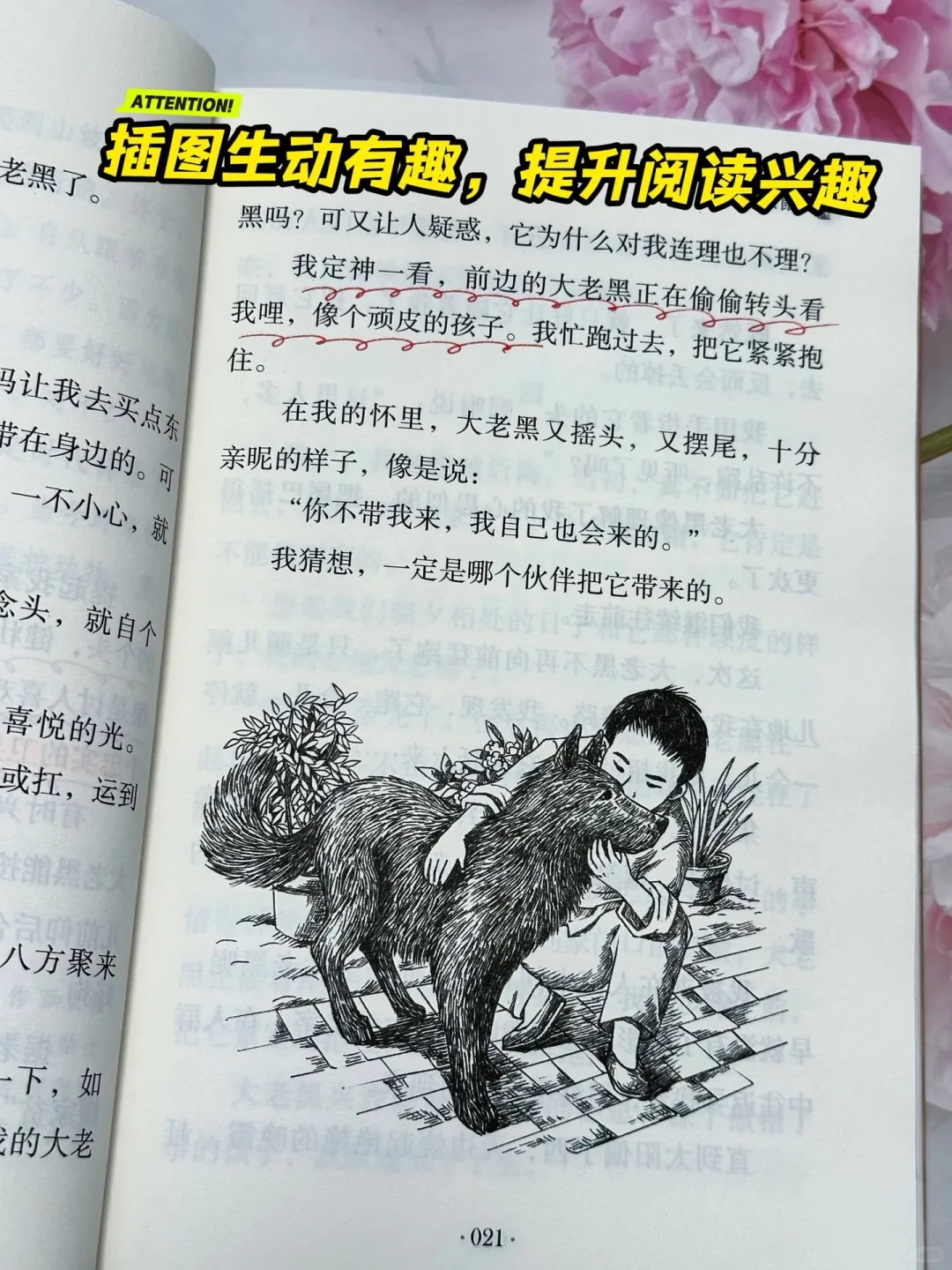 《狼与兔》：让孩子在阅读中找到乐趣🔥