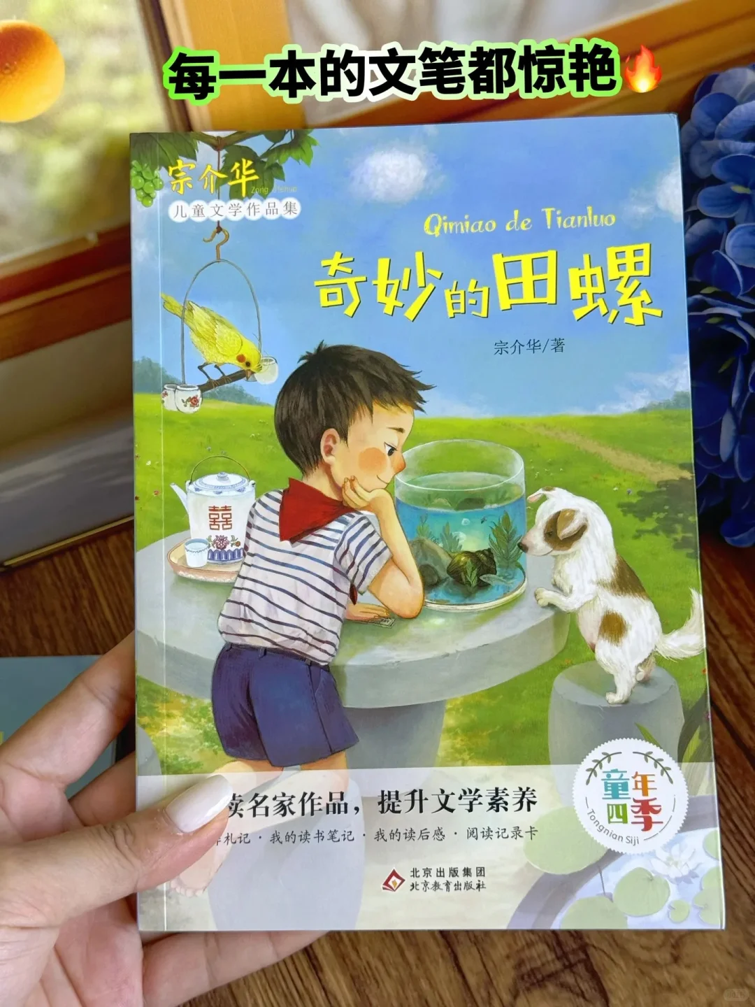 《带刺的朋友》：让孩子在阅读中找到乐趣🔥