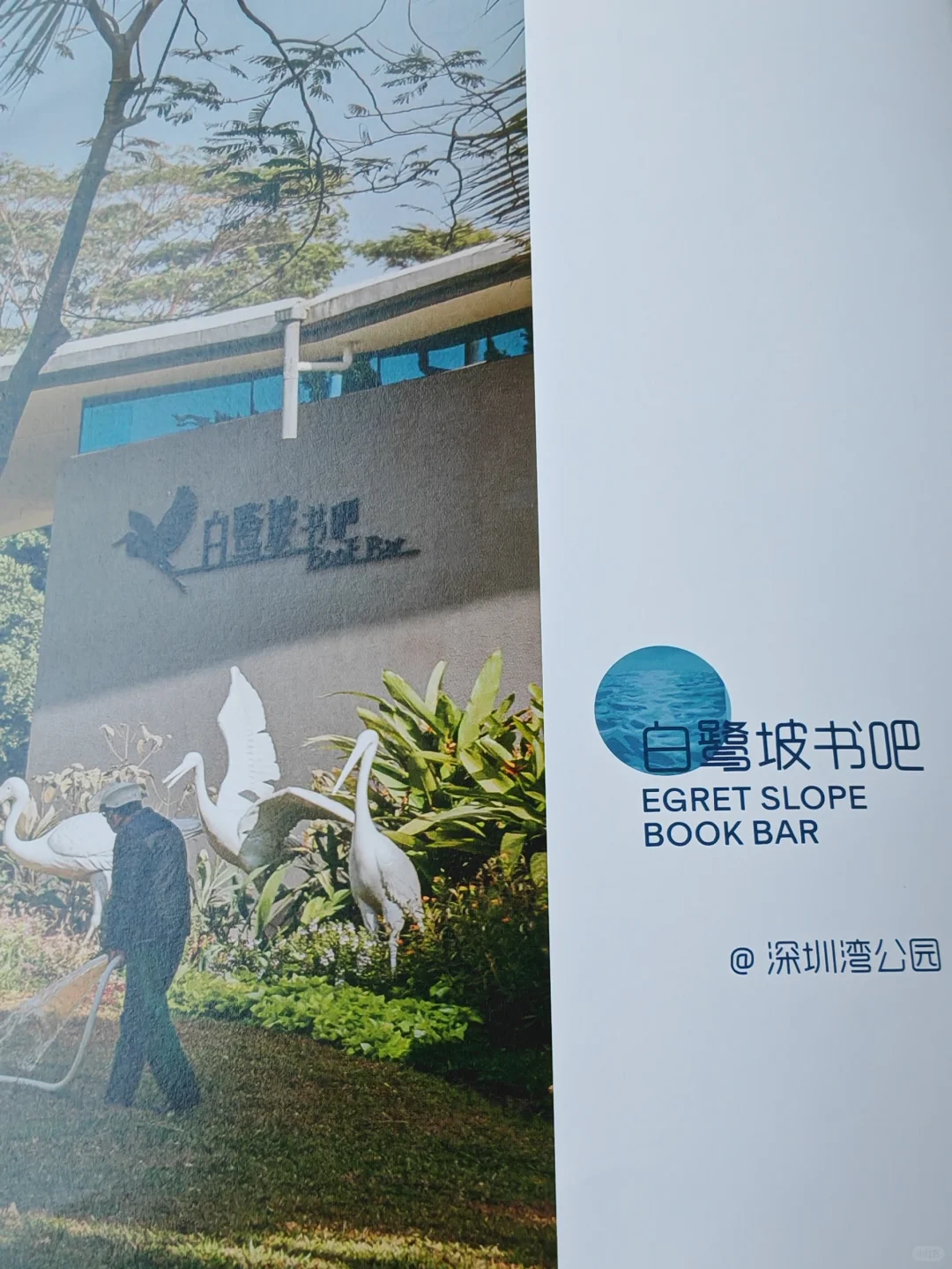 深圳60个公园书吧！户外+阅读，遛娃乐趣多
