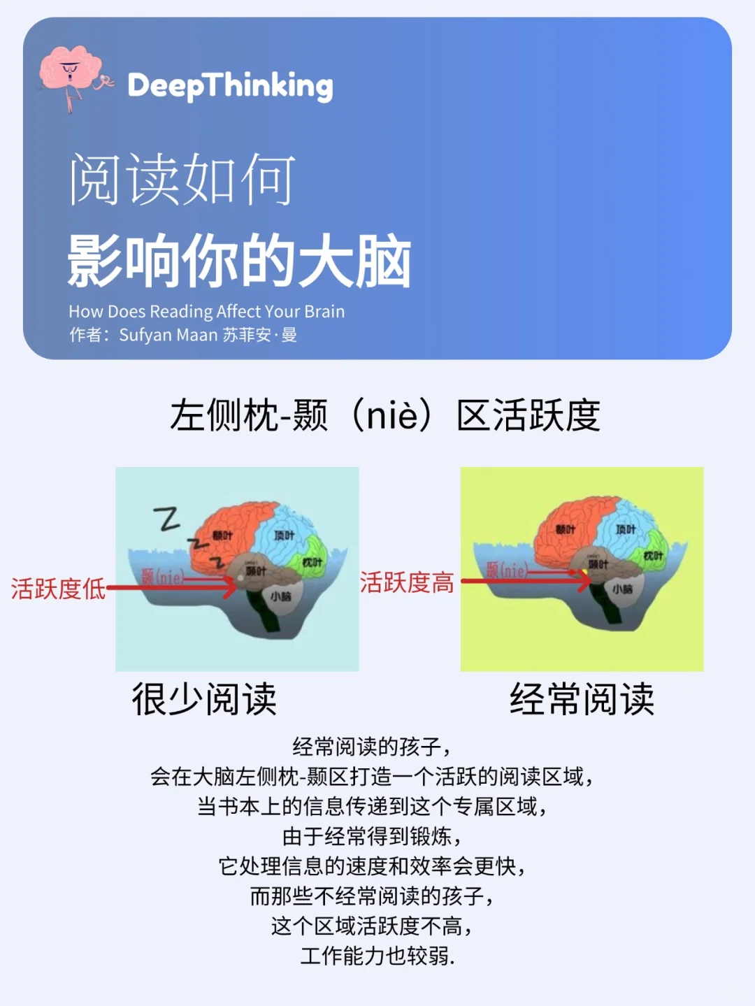 DeepThinking丨阅读如何影响你的大脑和效率