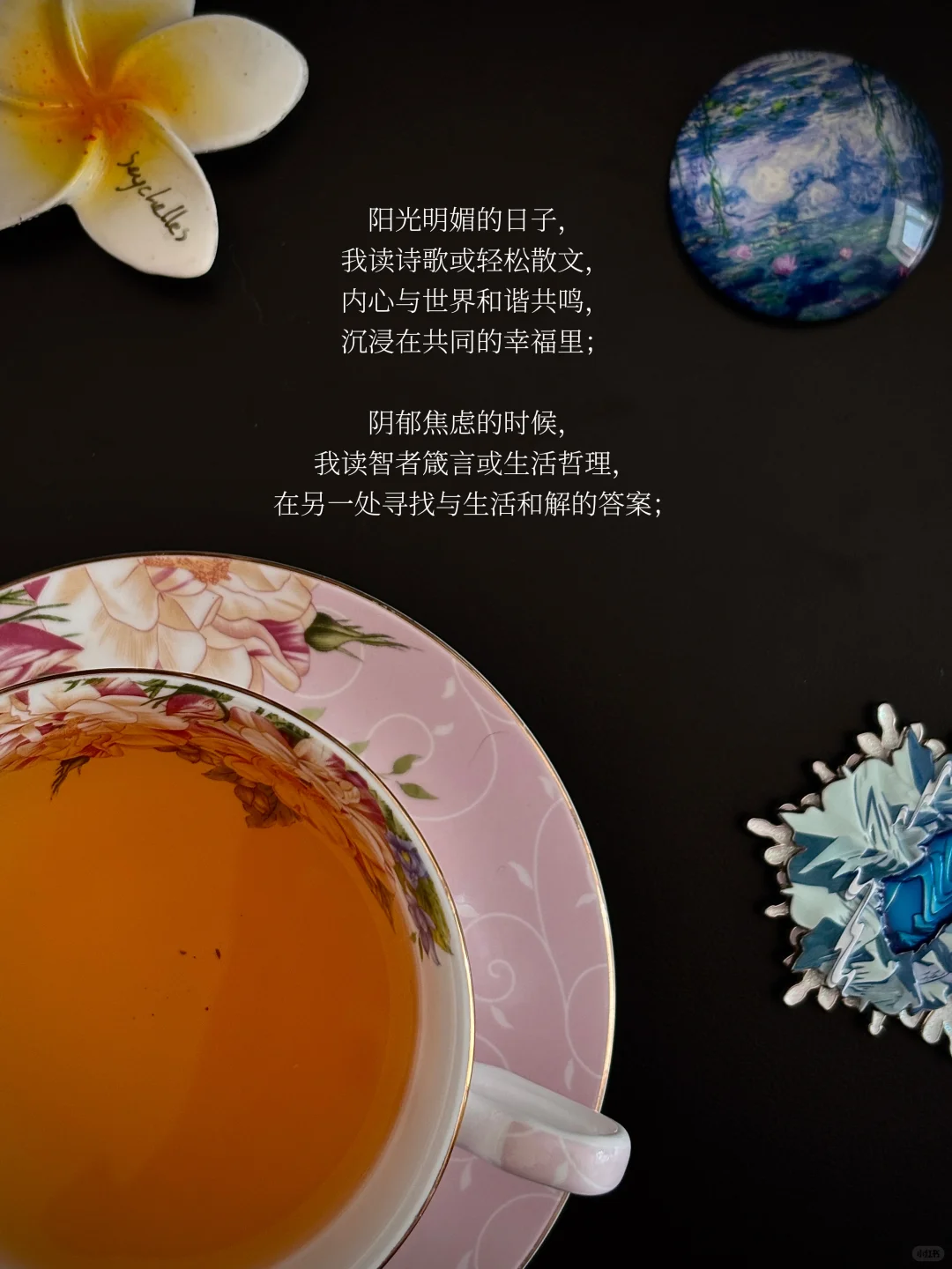 我向来坚决相信，喜欢阅读的人是快乐的，