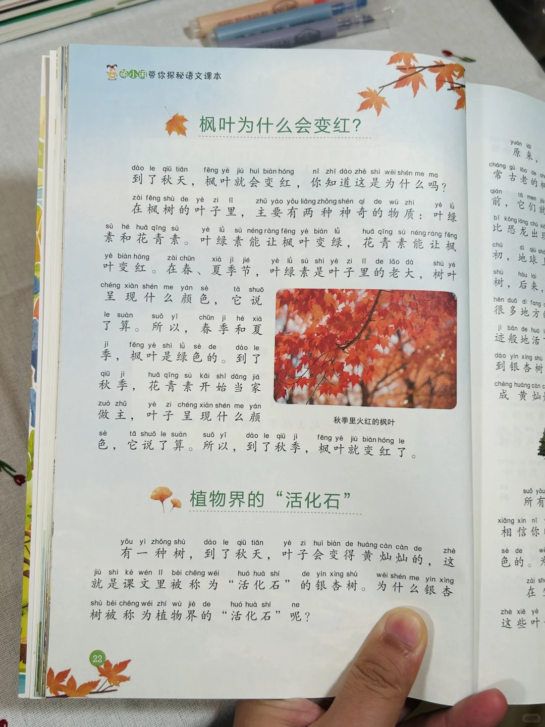 😭孩子开始主动读书了，谁懂～！