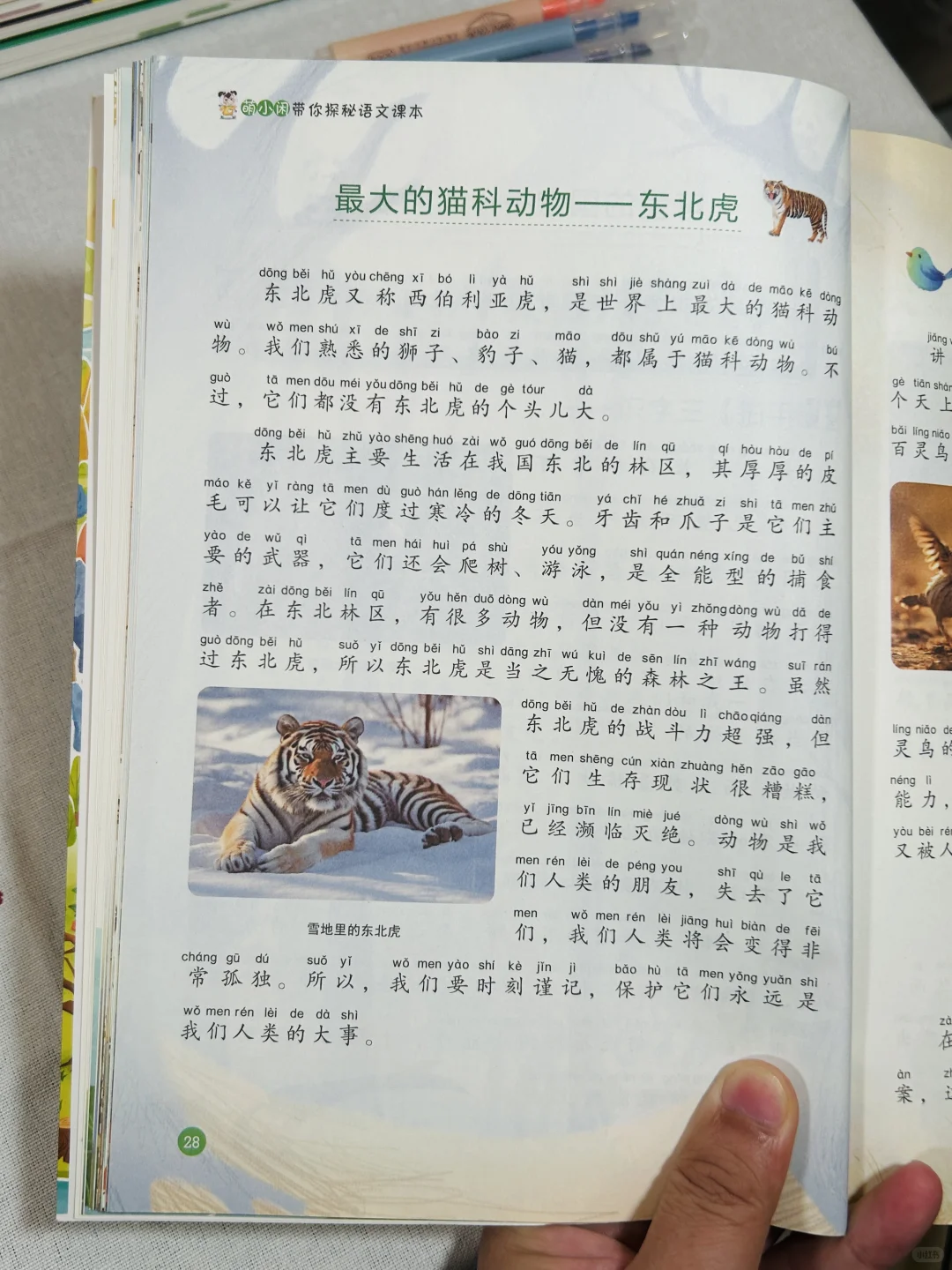😭孩子开始主动读书了，谁懂～！