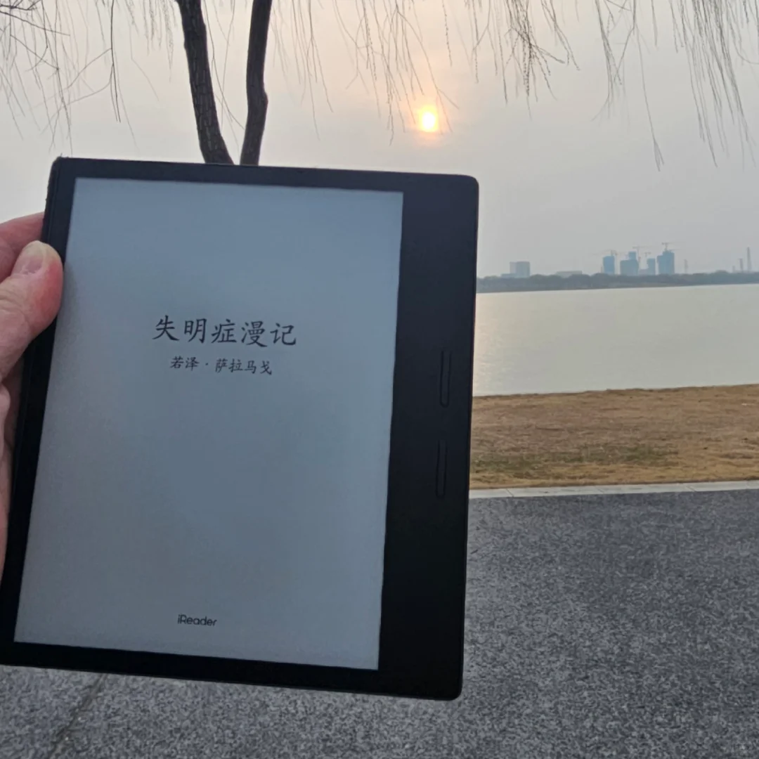 白昼黑瞳溯光行🌞🌿